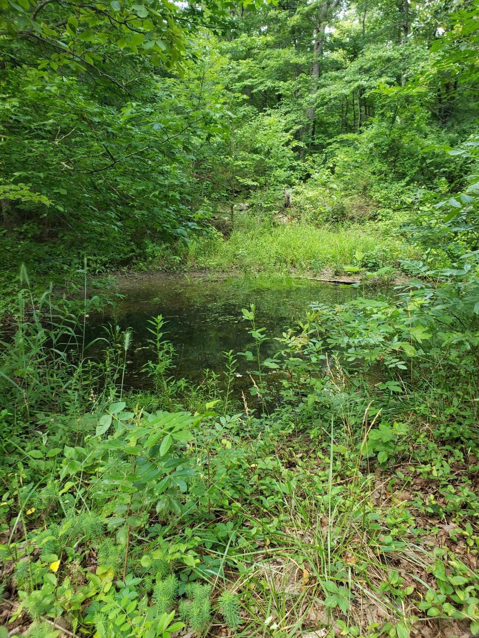 HECTOR BY SECTIONS - Residential