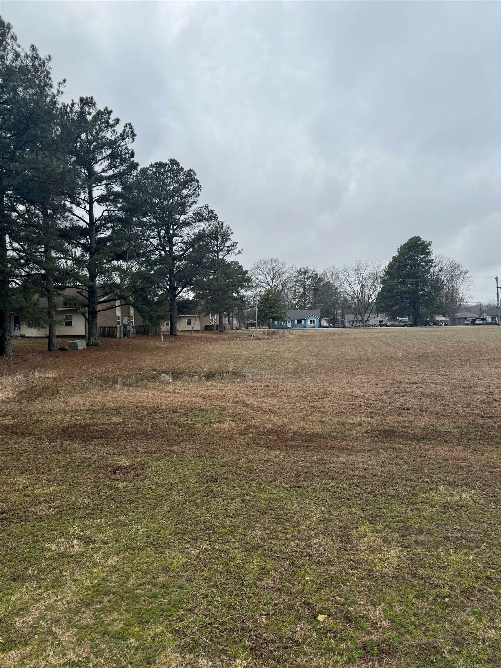 Hazark - Commercial Sale