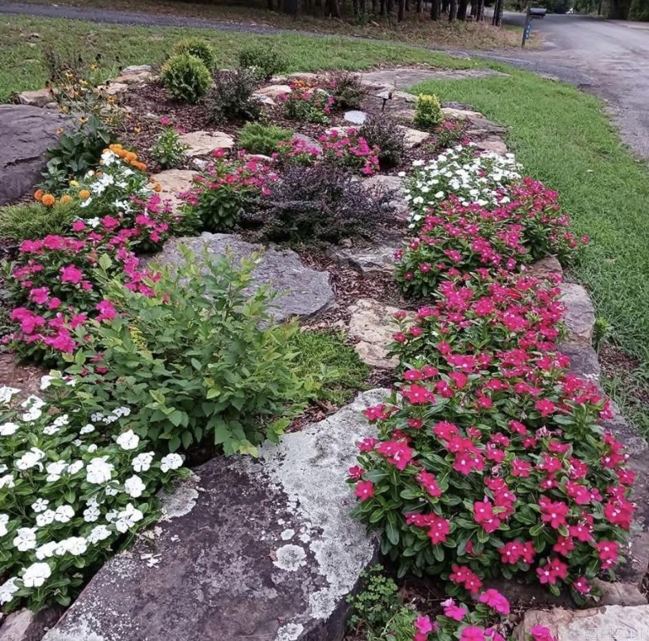 BELMONT ACRES - Residential