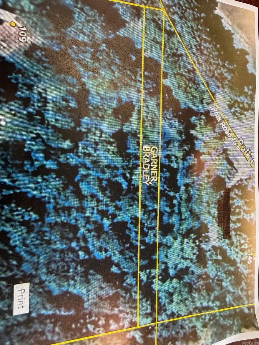 Nice wooded lot on paved road!  Just minutes to Mena!