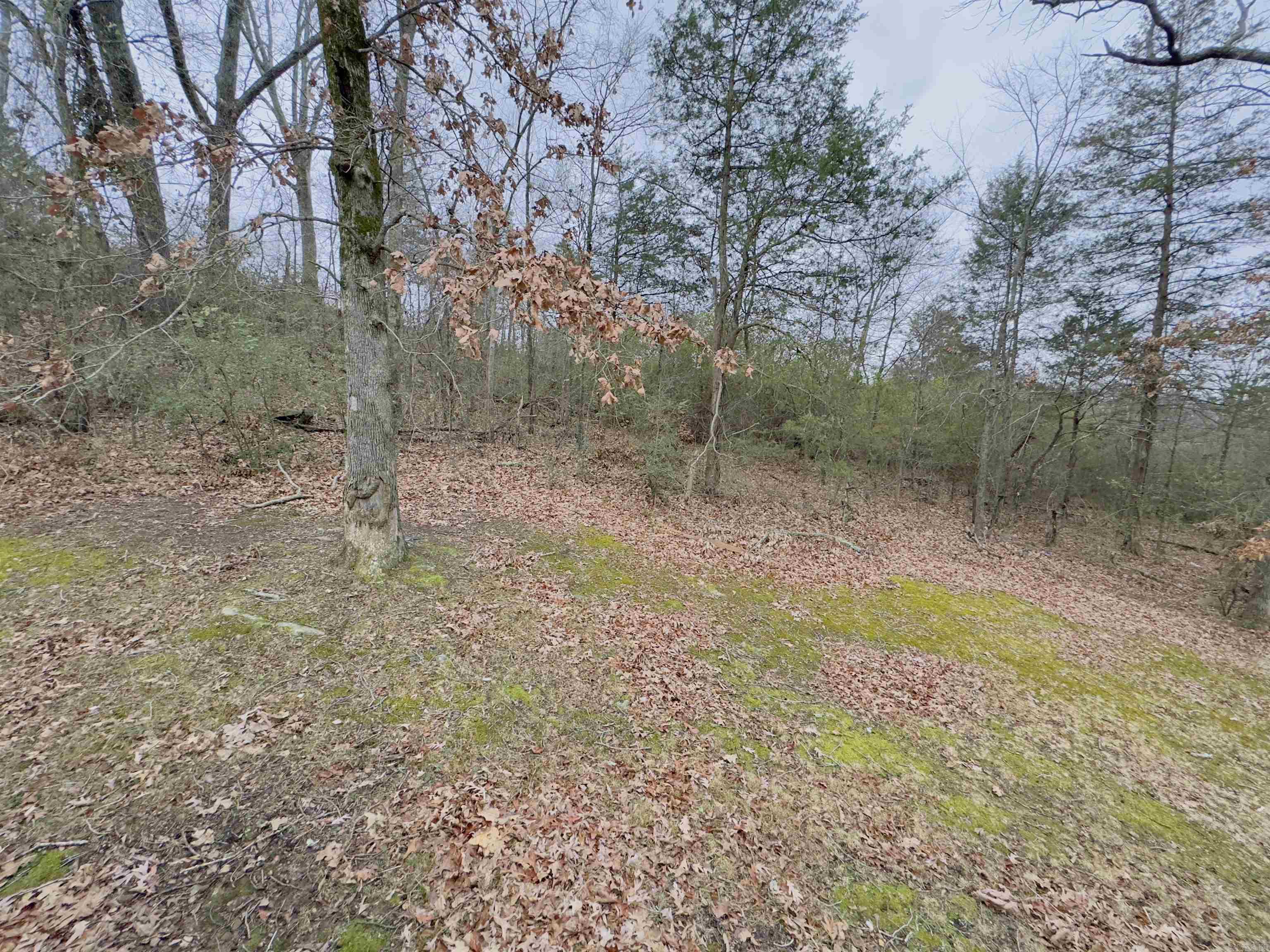 HUSKEY WEST - Residential