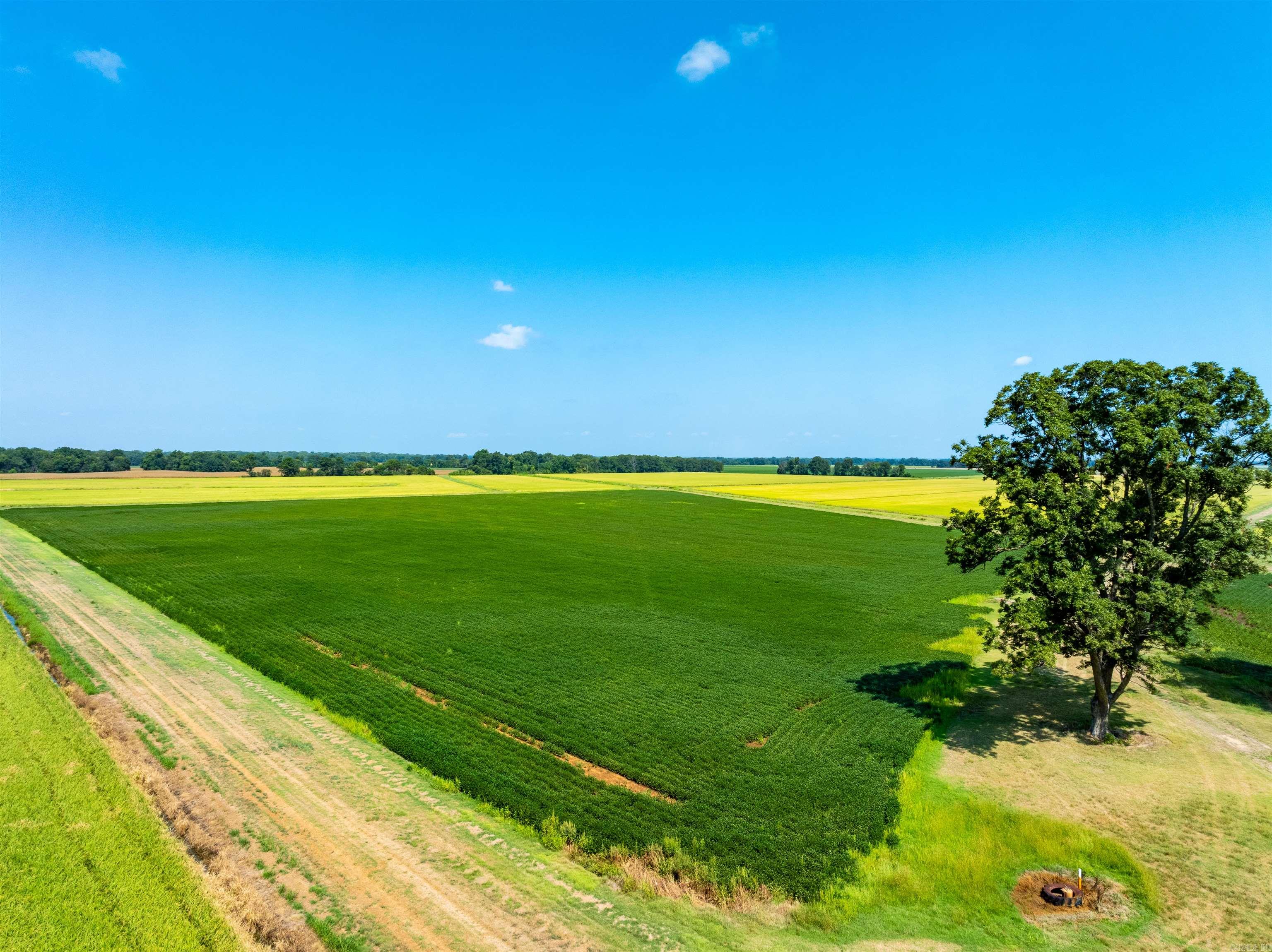 Metes & Bounds - Farm