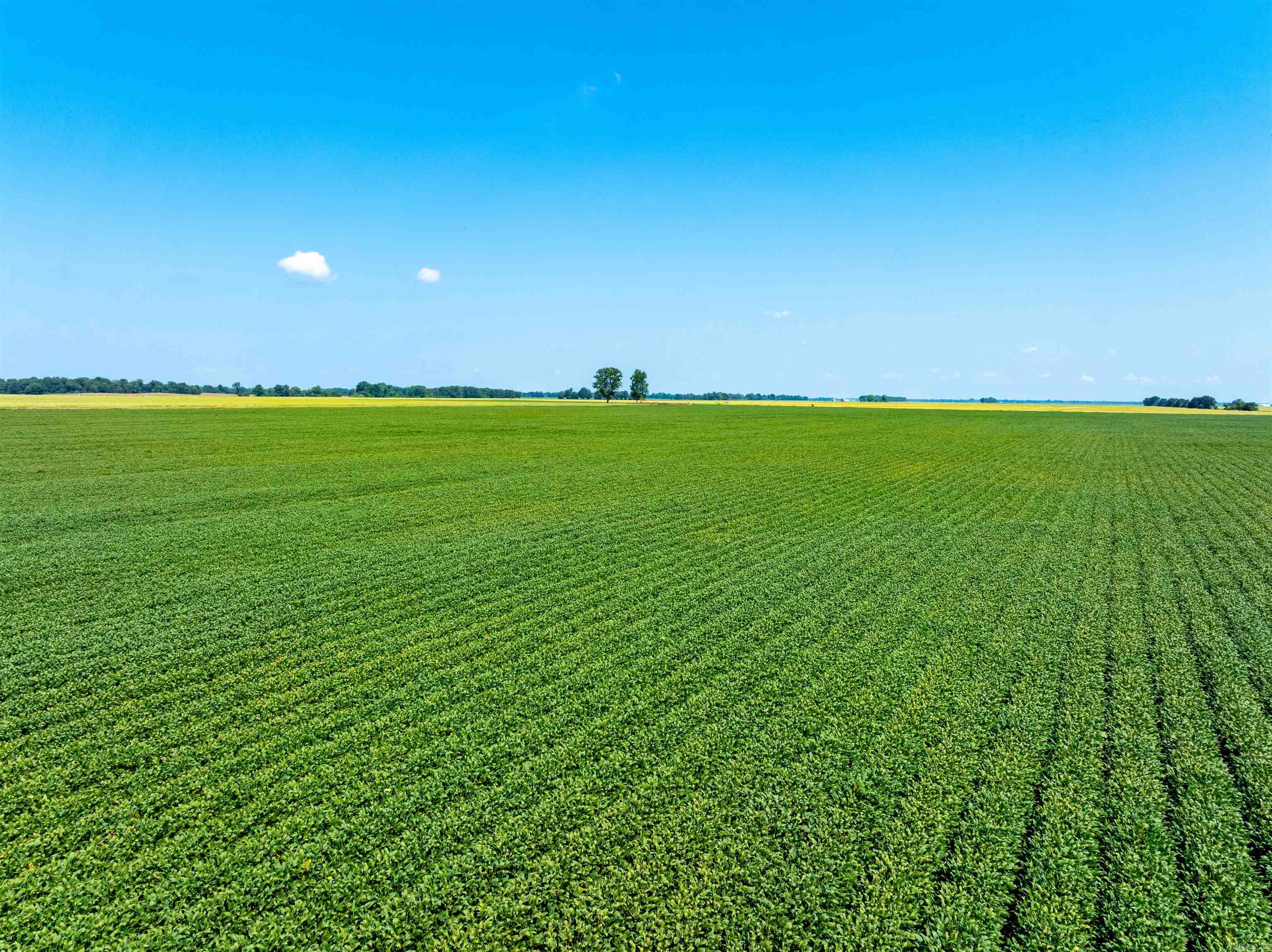 Metes & Bounds - Farm