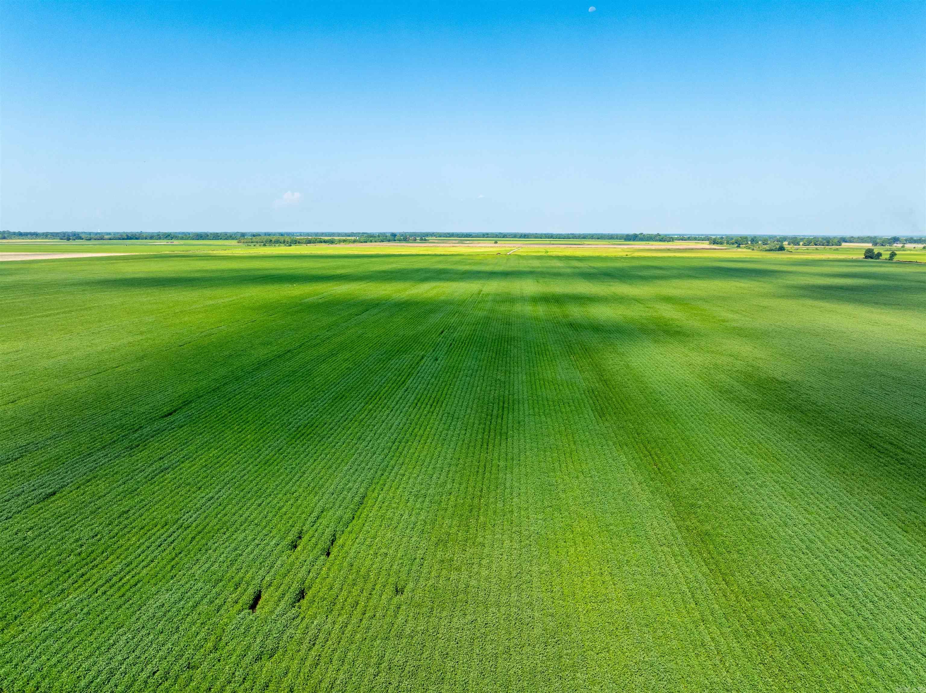 Metes & Bounds - Farm