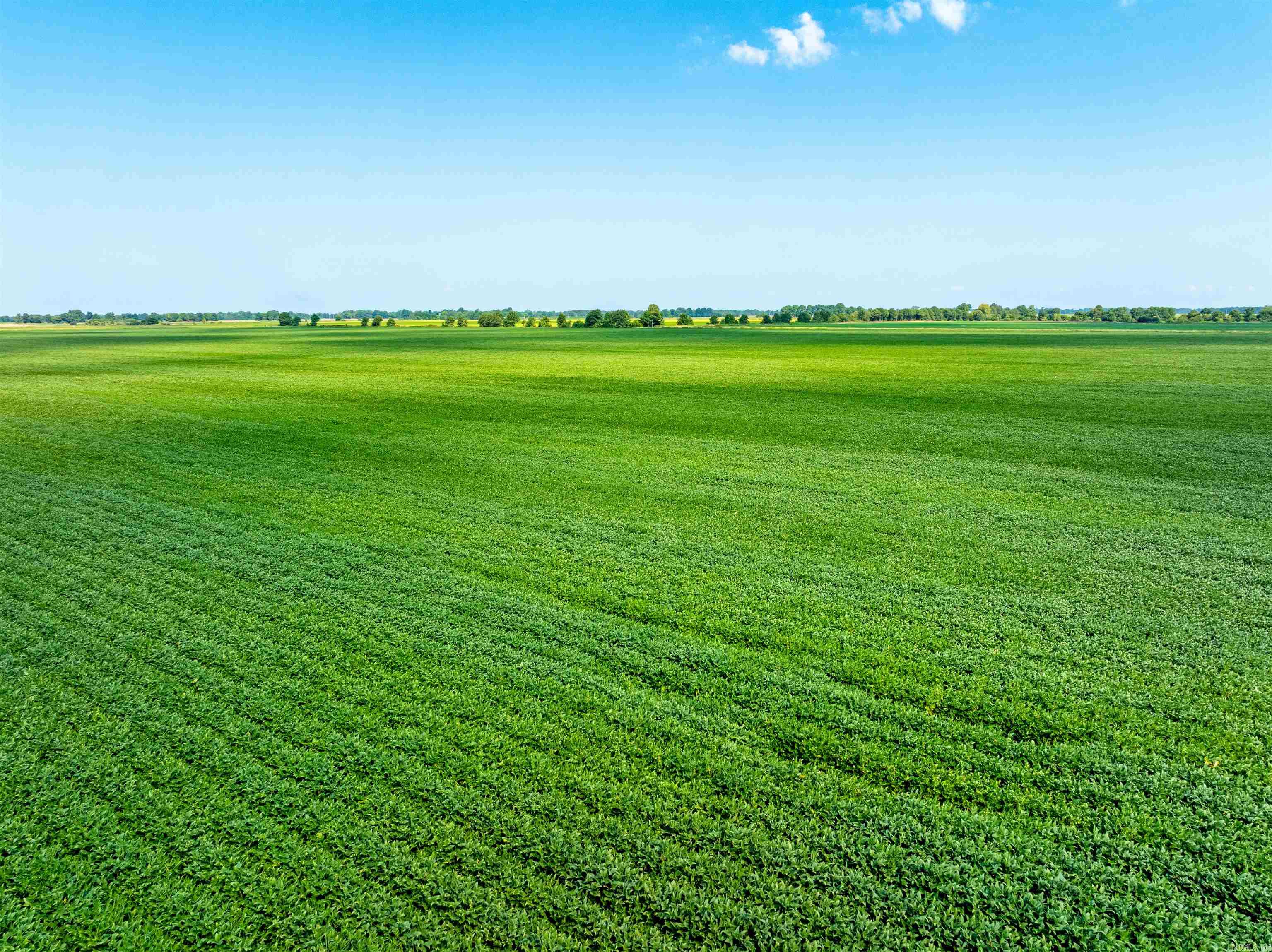 Metes & Bounds - Farm