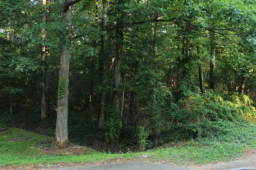 Make this your vacation getaway!! 2 lots, only minutes from amenities. Just blocks away from Hill Wheatley that offers public LakeHamilton access, boat launch ramp, public beach, walking trails, and a picnic area with a pavilion. Close to shopping, restaurants andDowntown Hot Springs. No POA or HOA Fees.