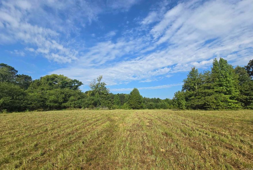 Rare find right out side of Malvern, AR  Beautiful 63± ACRES with endless oportunities!  A perfect mix of: Timber, Pasture, Pond & Creeks, Access to the Ouachita River Ideal for: Family Compound,Farming, Hunting & Recreation, or even a  Homestead! Your Arkansas retreat awaits!   Bush-hogged August 2025, survey completed January 2025 Contact me or your preferred agent for more information