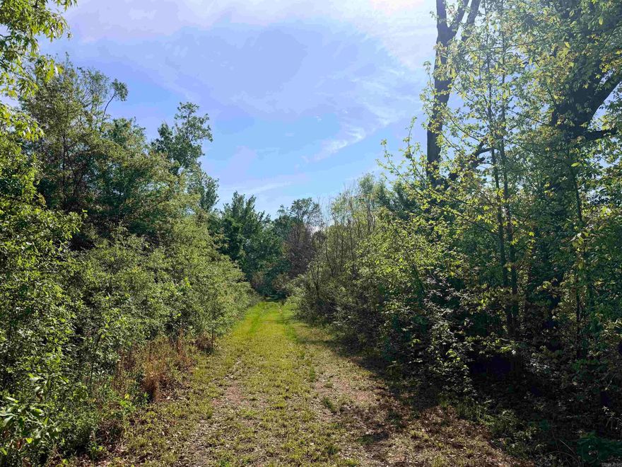 82.5 acres of undeveloped land located outside of Hamburg in near the Mist community. Surronded by farmland. There is a residence located near the land. Utilities are available nearby.