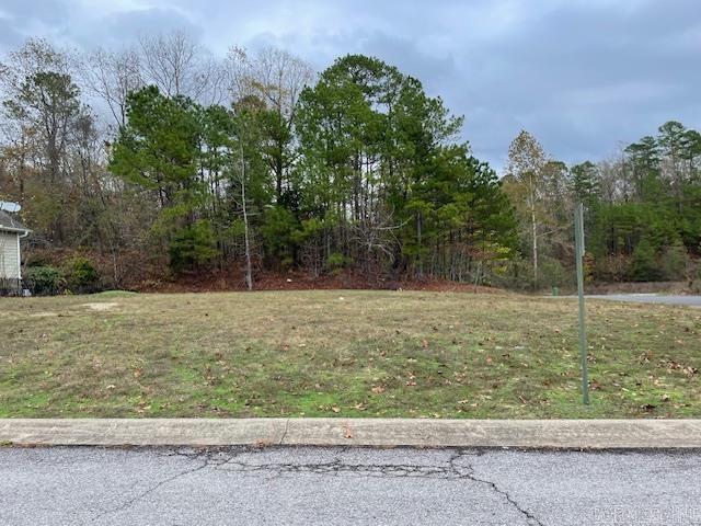 Level, corner lot perfect for your new home! View of lake.