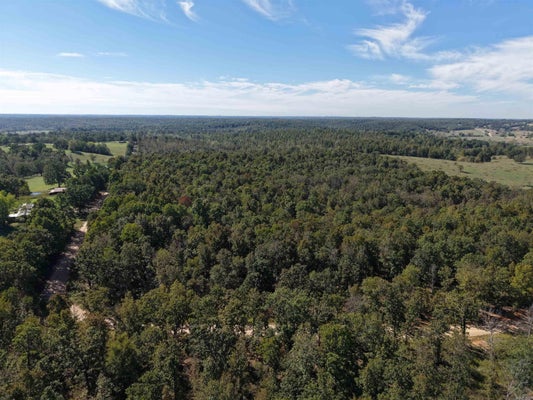 TBD FAREWELL ROAD, RAVENDEN, AR 72455 - Image 11e00e4a7cb57e4e5552ab943a984dd8/1960947491