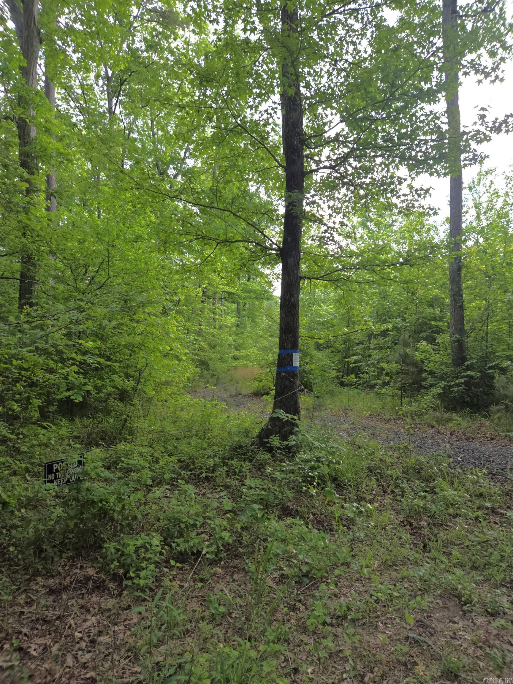 Metes & Bounds - Land