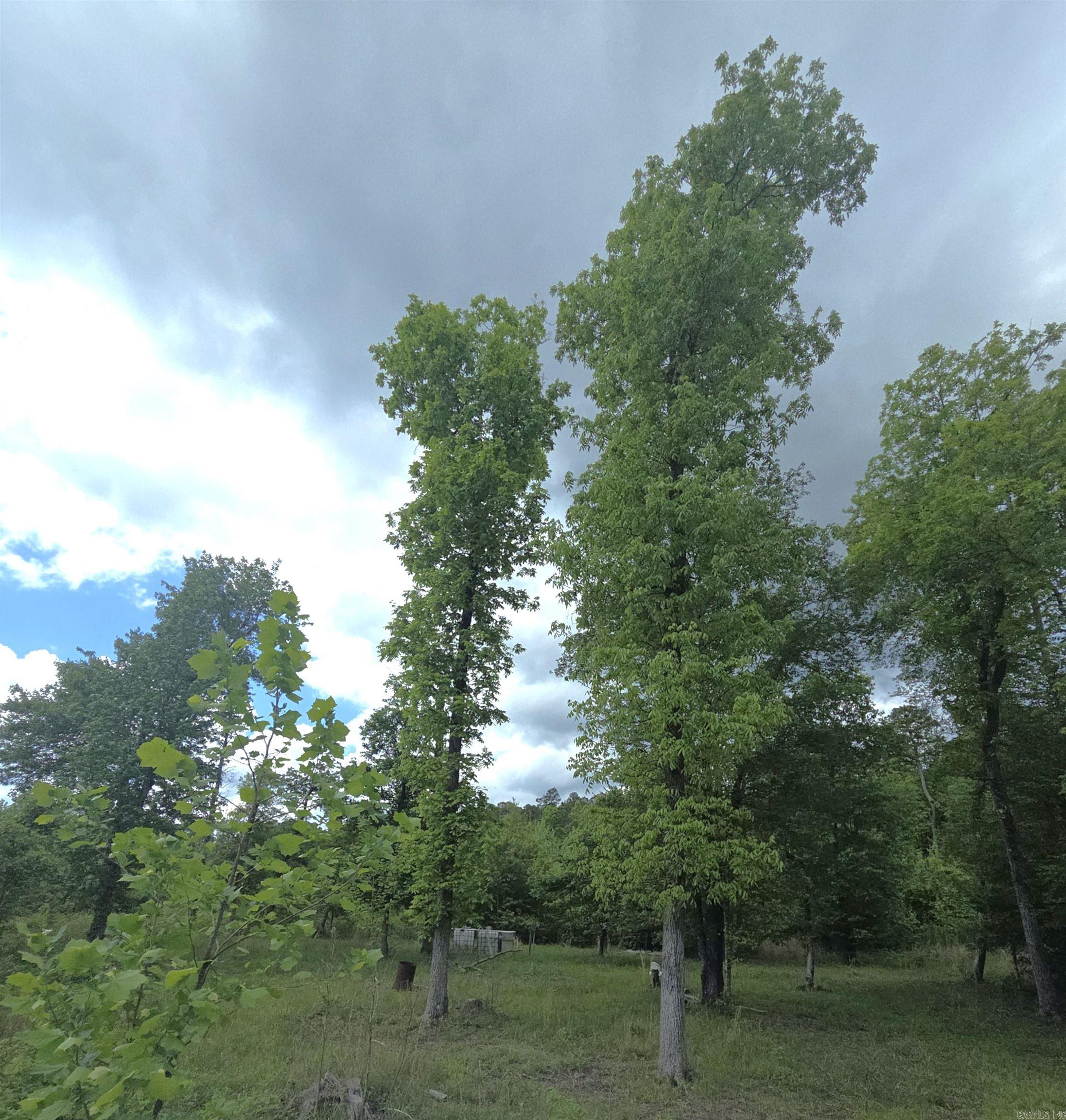 Metes & Bounds - Land