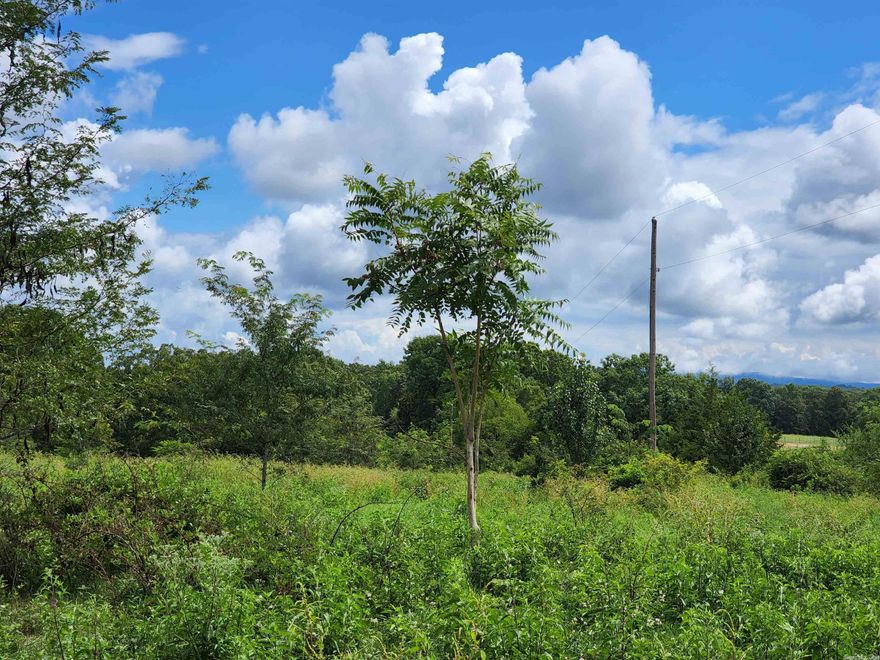 9 acres available more land available near by too. Call agent for details.   Home on 90 acres also available next to this 9 acres