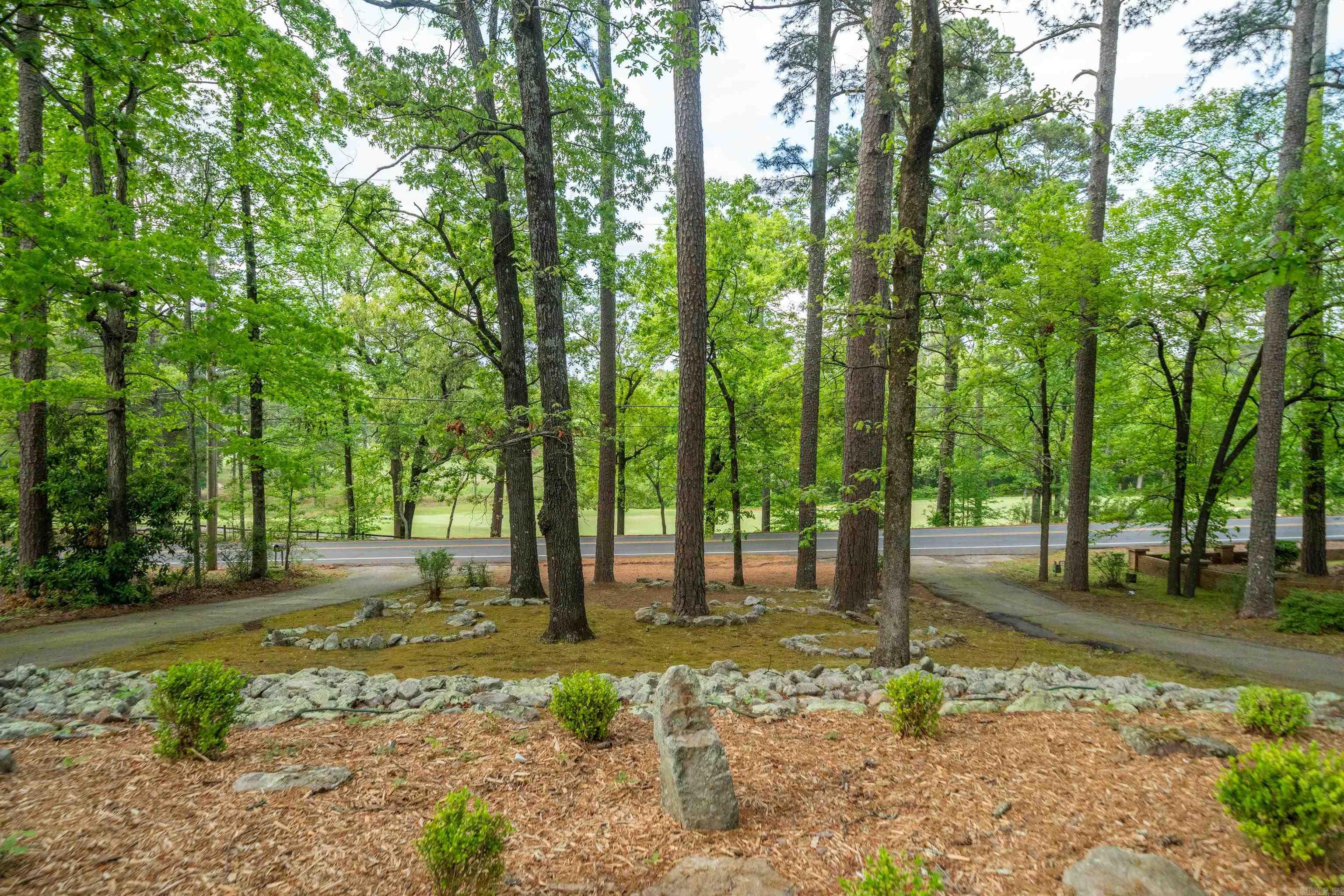 Hot Springs Unplatted - Residential