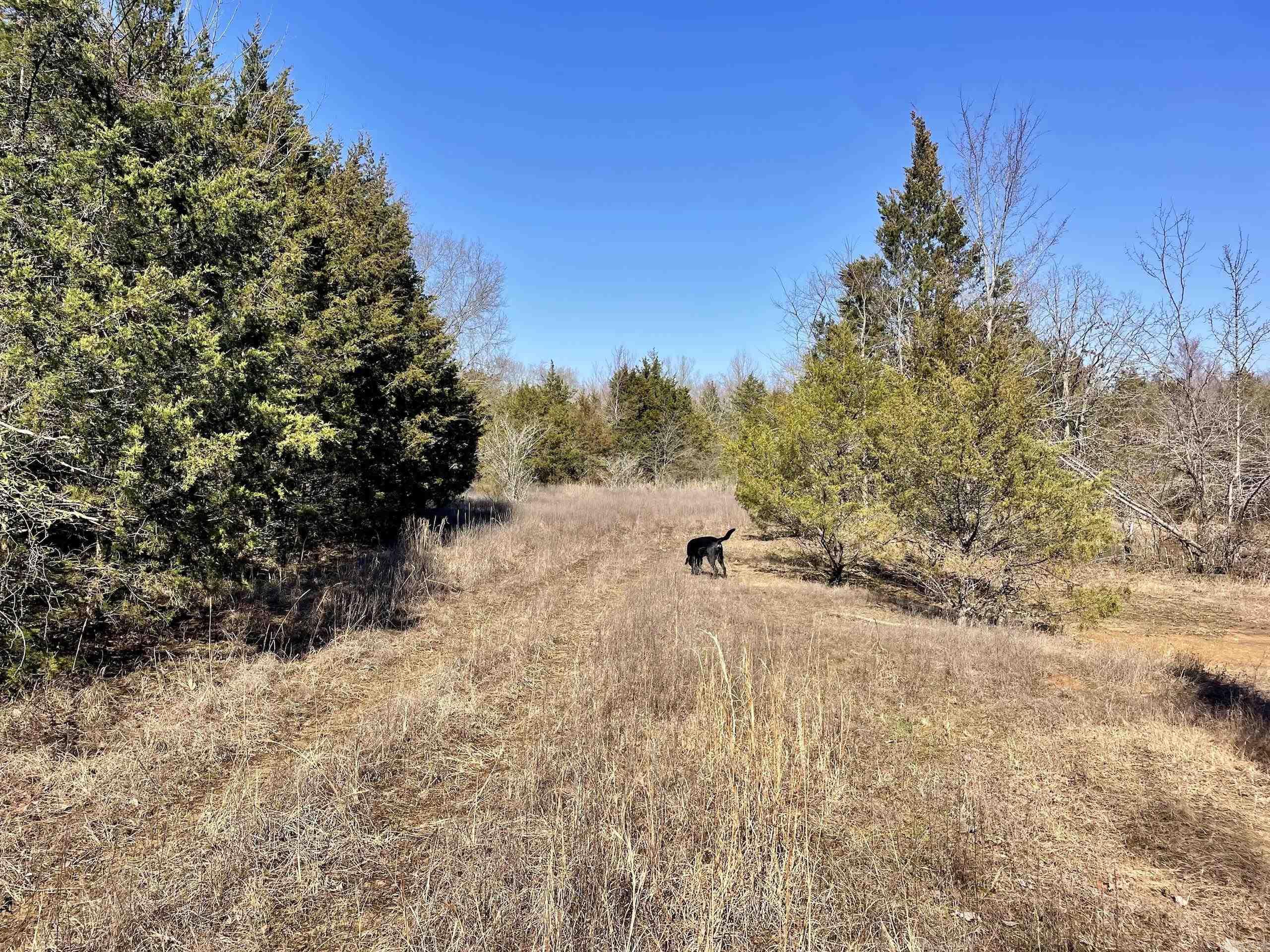 Not in Subdivision - Land