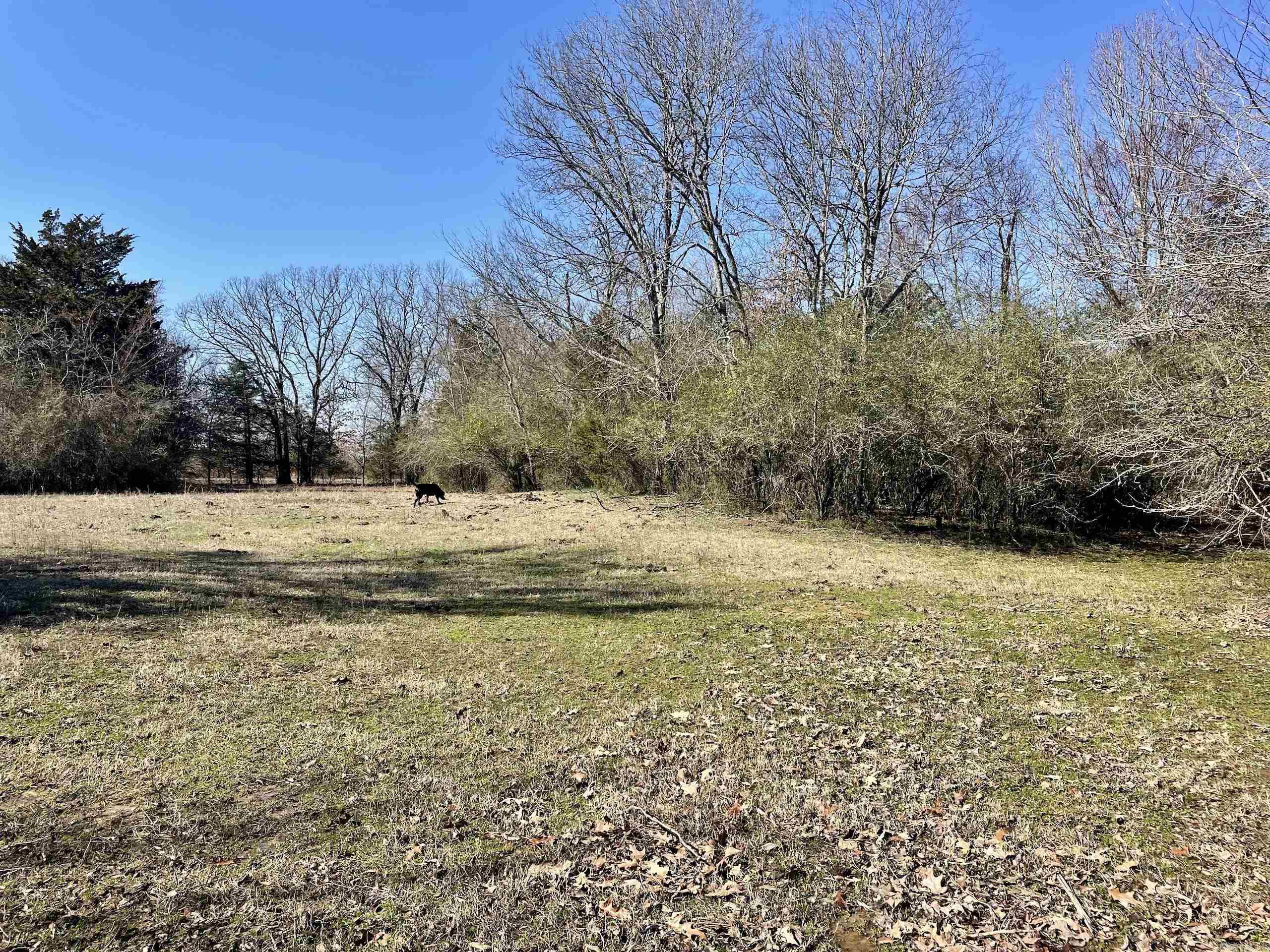 Not in Subdivision - Land