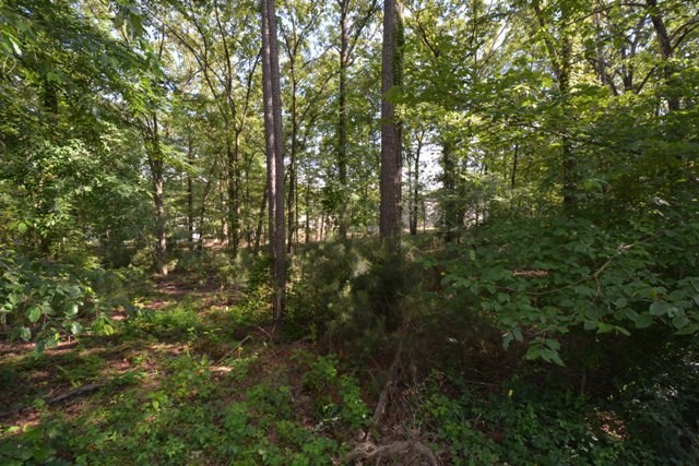 Tanglewood Estates - Land