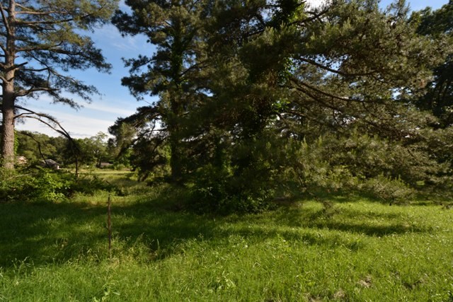 Tanglewood Estates - Land