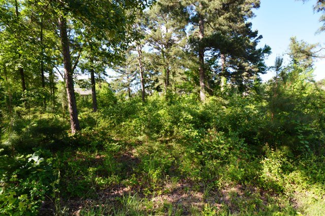 Tanglewood Estates - Land