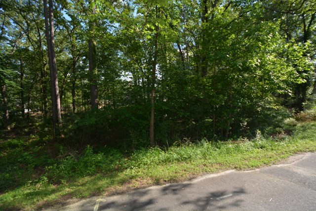 Tanglewood Estates - Land