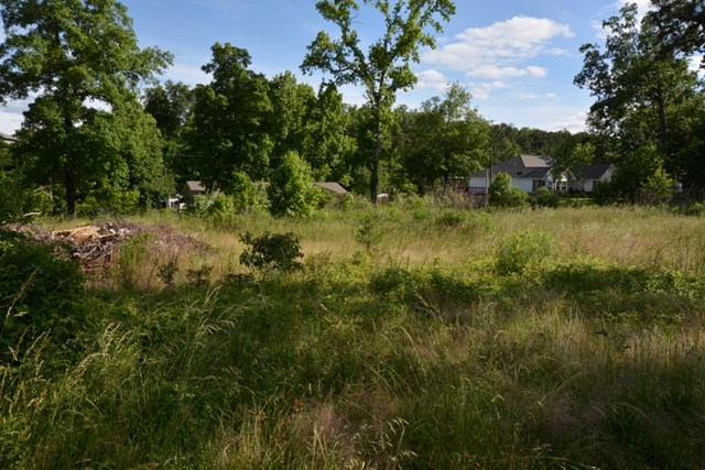 Tanglewood Estates - Land