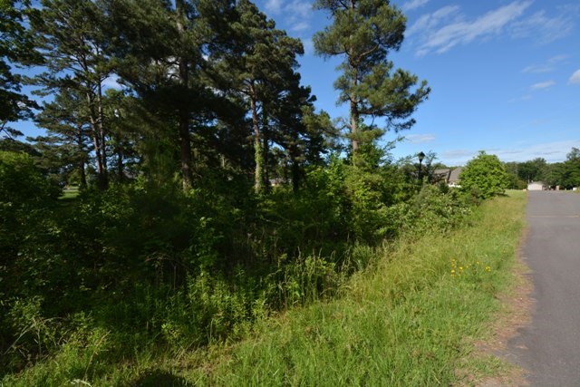 Tanglewood Estates - Land