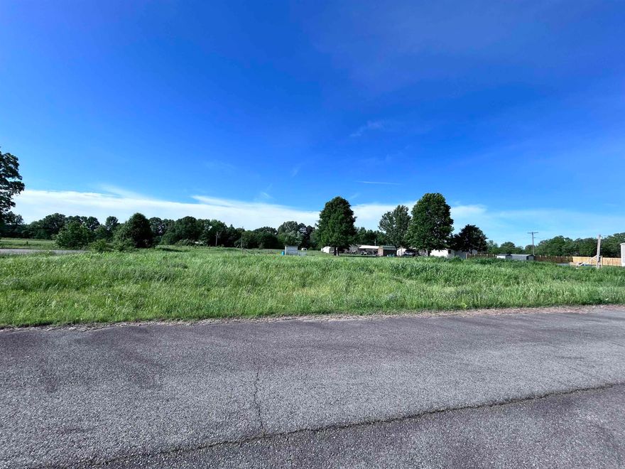 Building a new home, placing a mobile home, or buying land for the future are all great options with this level lot located in the city of Beebe. Mobile homes are allowed, and electric, water, and sewer are available at the street. The lot is level and easy to work with, making it simple to plan your next steps. Located in town, this property keeps you close to local schools, shopping, restaurants, and everyday needs. Whether you are ready to build, need a spot for a mobile home, or want an investment property, this lot has plenty of potential. Bring your plans and make it your own.