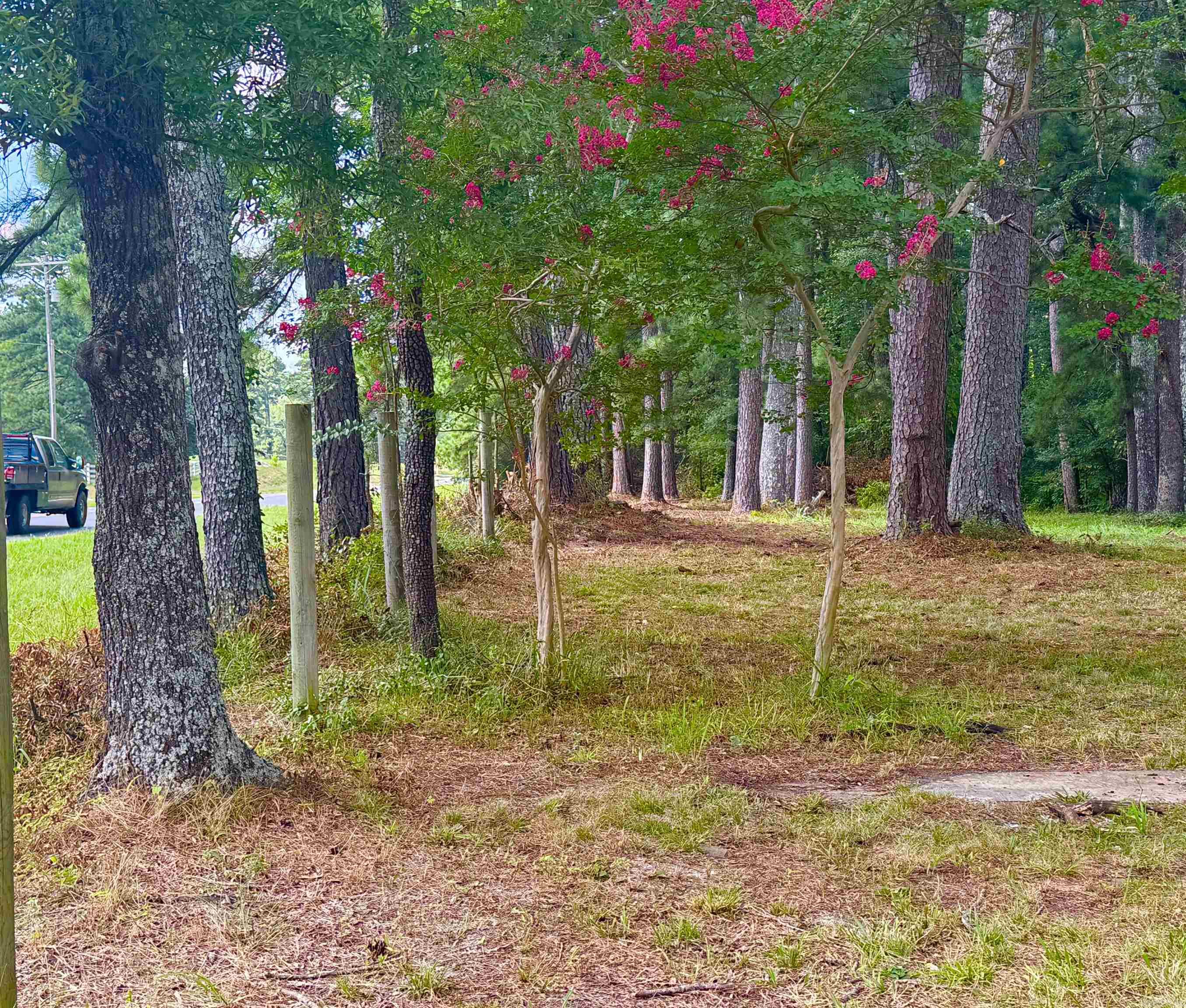 Not in Subdivision - Land
