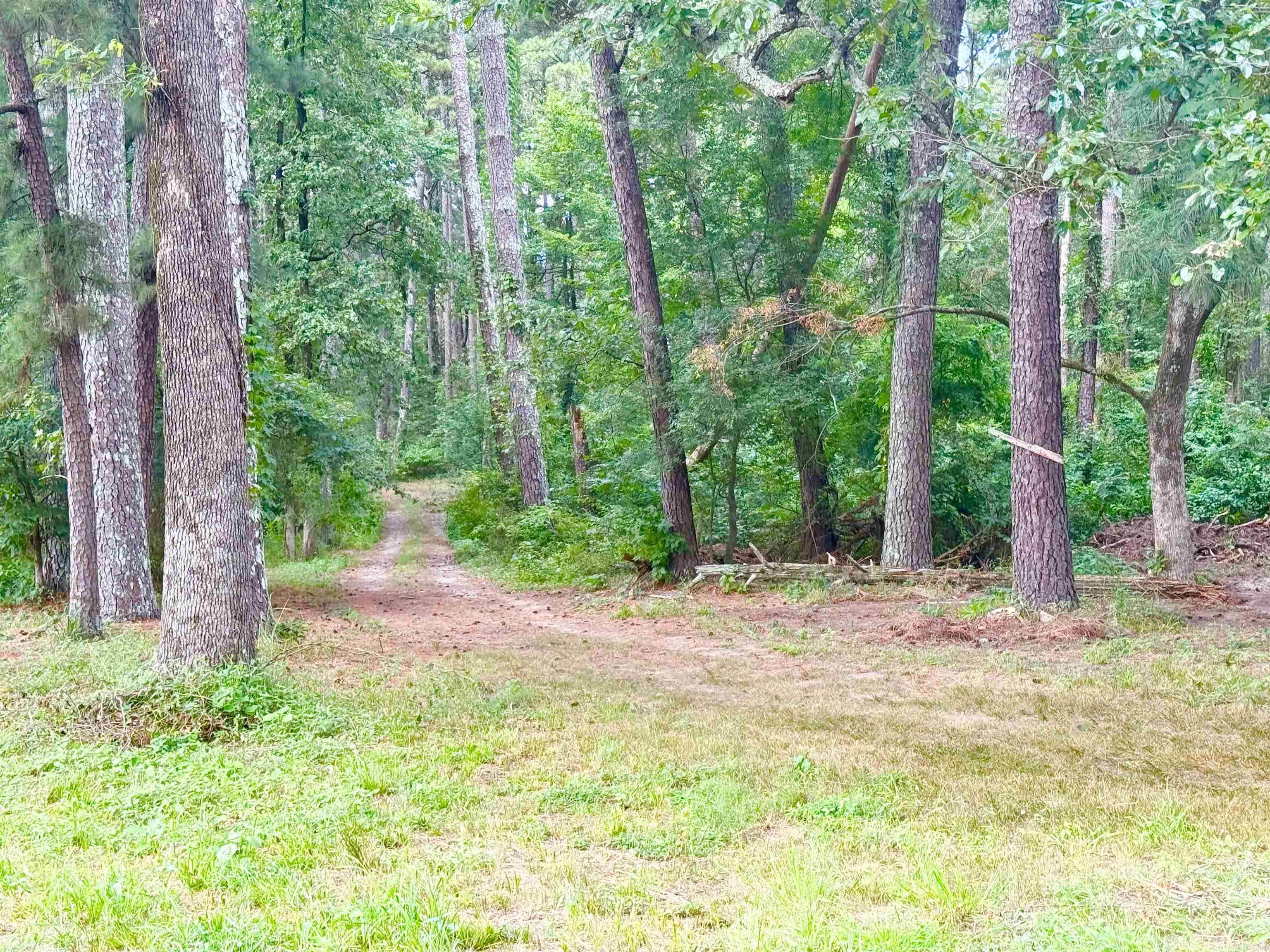Not in Subdivision - Land