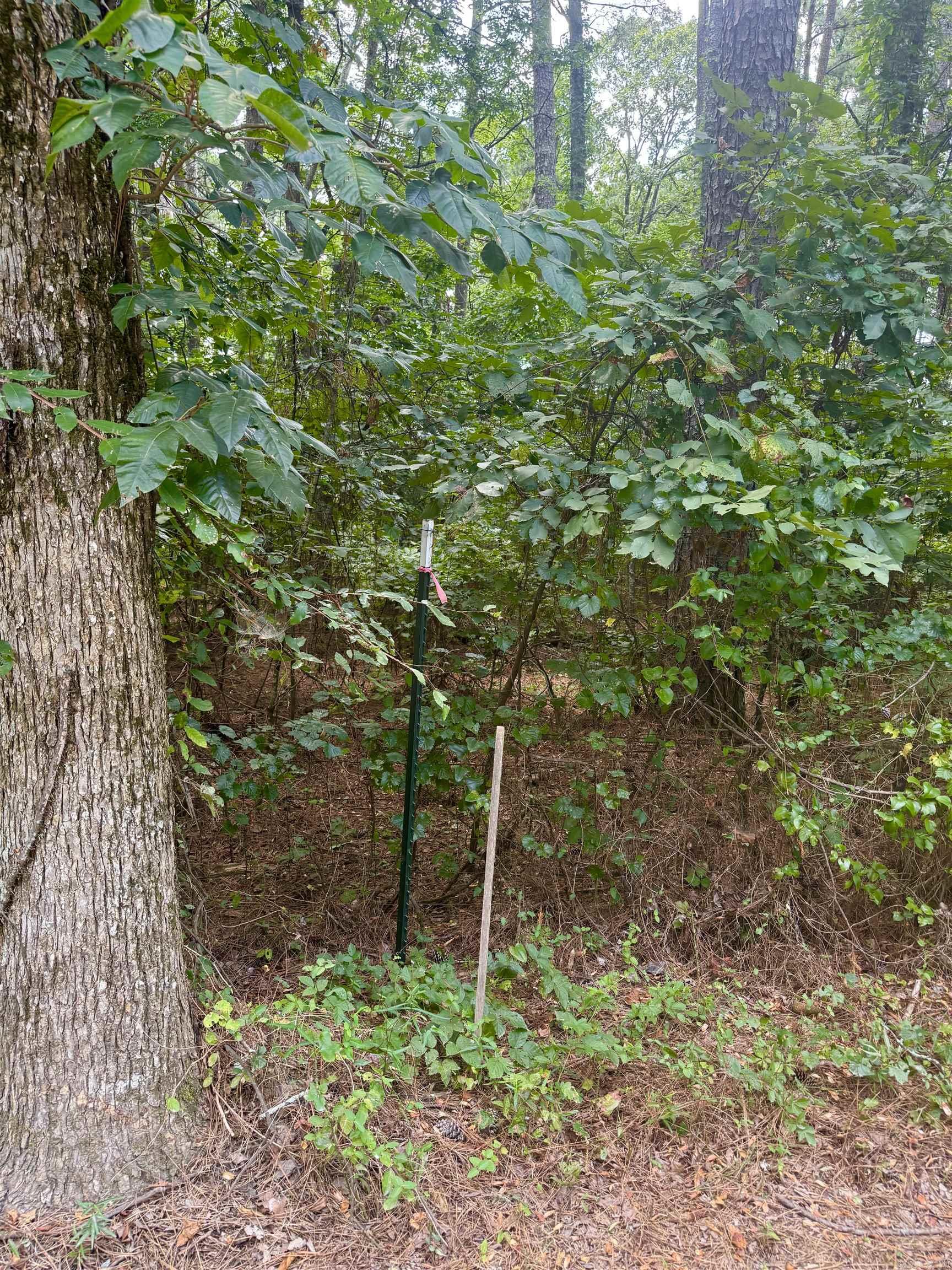 Not in Subdivision - Land