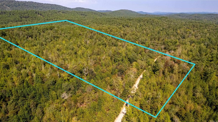 20.5 Acres MOL located close to Lake Ouachita and Brady Mountain. Prime location in Royal surrounded by National Forestry plentiful wildlife which makes for the perfect lake home or hunting property! Come see this beautiful piece of property handed down from generation to generation.