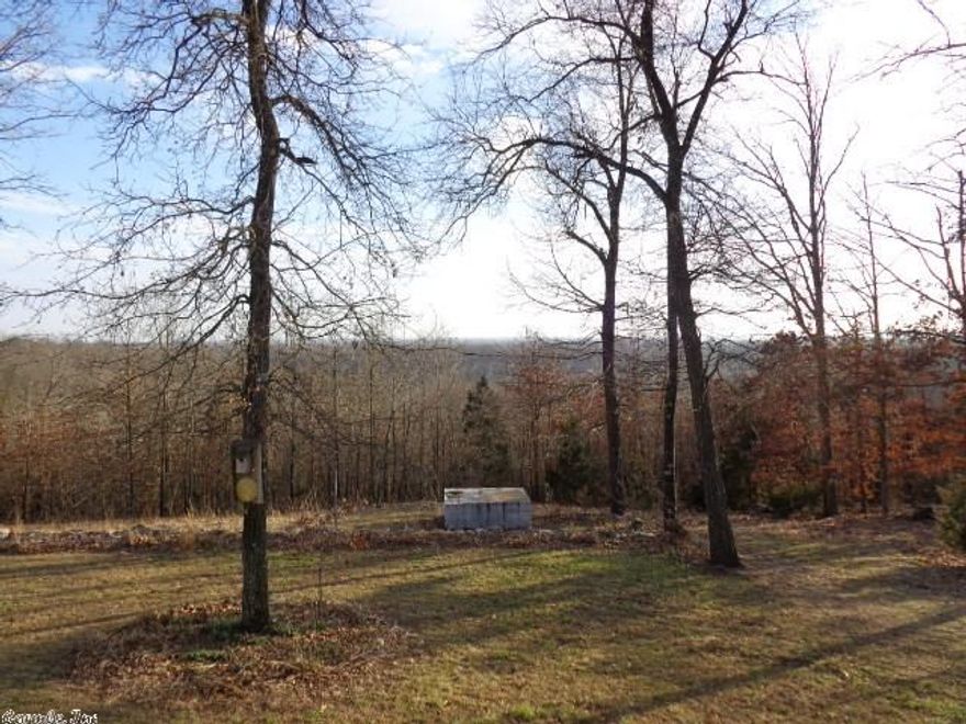 Fantastic view from the living room or deck of this 3 bedroom, 2 full bath double wide home on 20+ acres of woodland with lots of deer and turkey. The home has a large master suite, vaulted ceilings, central h/a, all appliances, detached garage/shop, double carport, storage building, storm cellar, large deck w/ a great view, over 20 acres of woods and only a few minutes to town. There are many more extras.