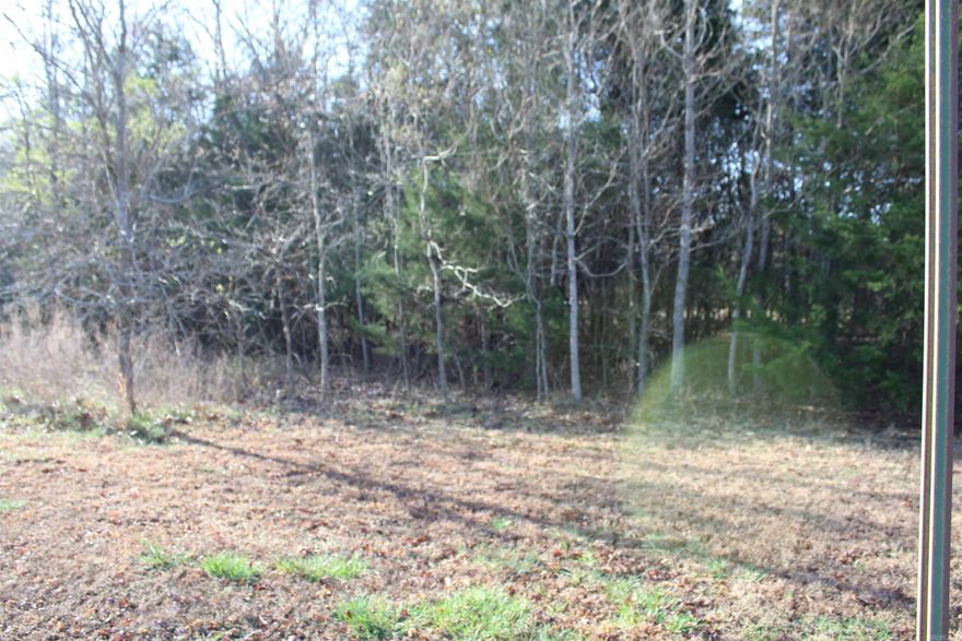 Very nice level lot in Deerfield Subdivision.  Paved Streets, curbs, underground utilities.  Lot also has city water/sewer.  This location is less than a mile from Brown Beach and public boat launch on Bull Shoals Lake.  Come build your dream home and enjoy the beautiful Bull Shoals Lake and White River and be close to all Bull Shoals has to offer.