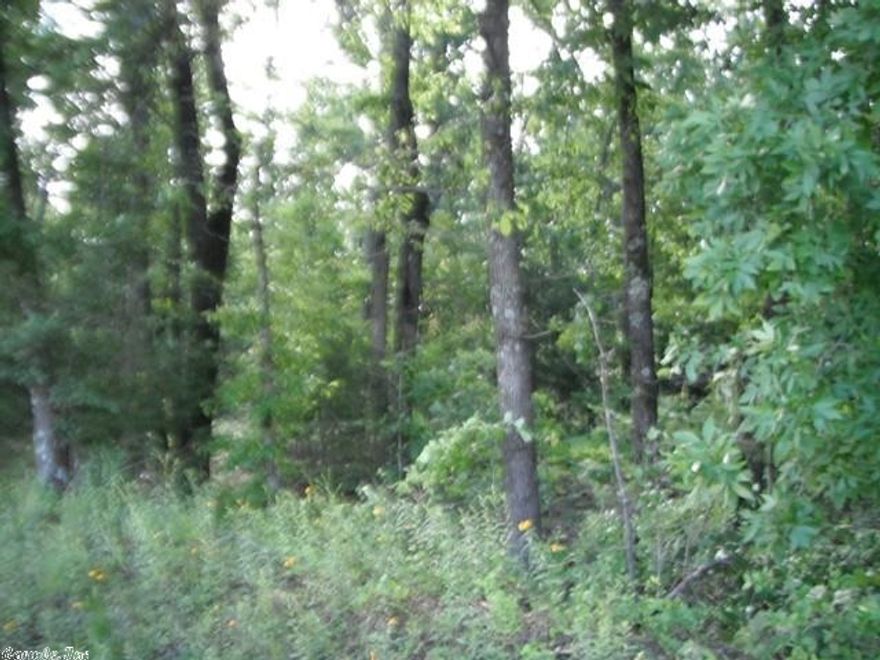 Located on approximately 3.33 miles from Hwy. 65.  County road frontage.  Utilities available.  Bee Branch Water at co. road and Petit Jean Electric available.  No Seller's Property Disclosure.  Property in an Estate.