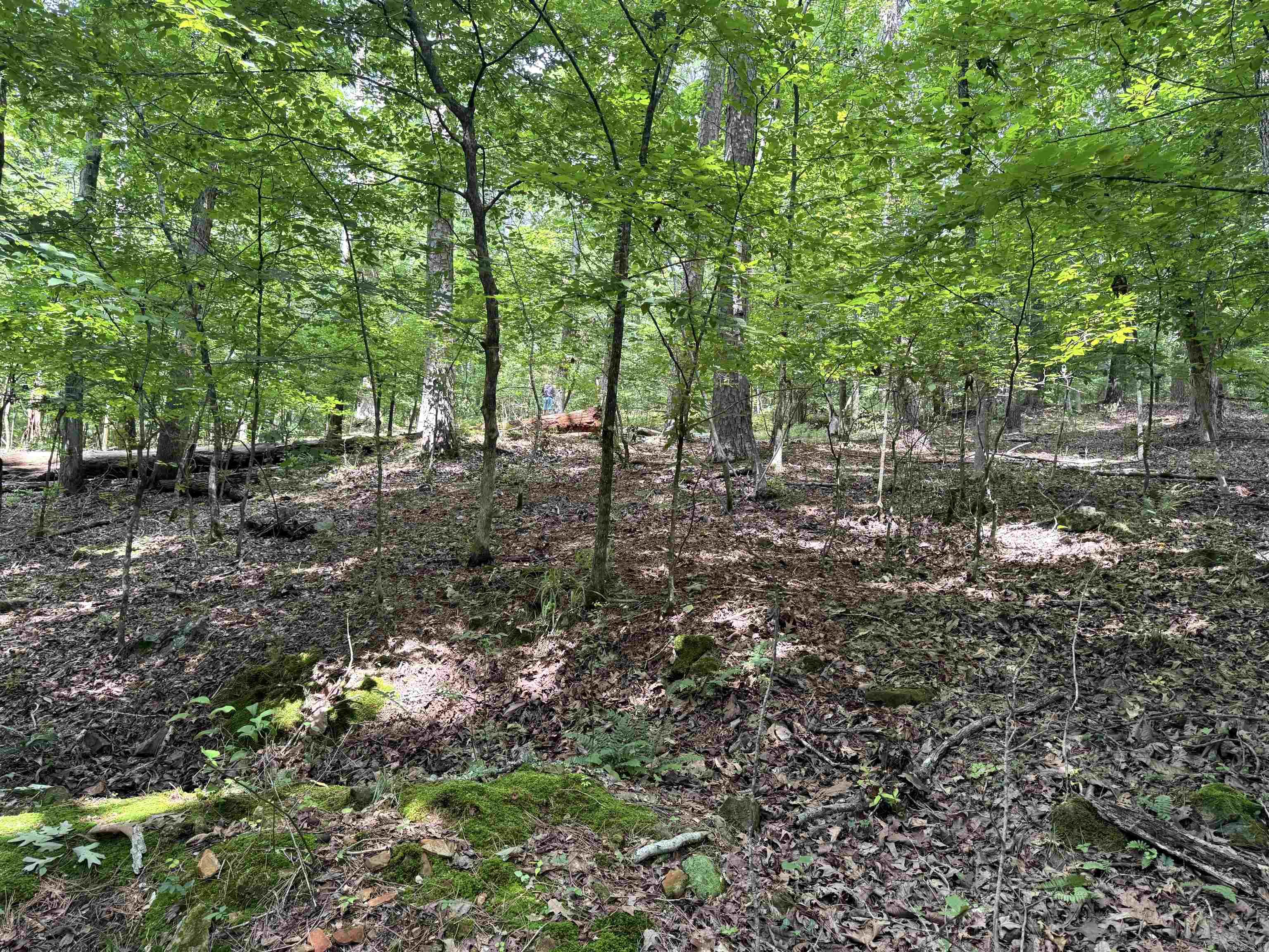 Secluded, wooded lot on Lake Cortez ā Enjoy lake life, mature trees, and privacy without the crowds. Ideal for custom homes or lake lovers seeking privacy, recreation, and investment potential. Limited shoreline development makes this a unique opportunity.
