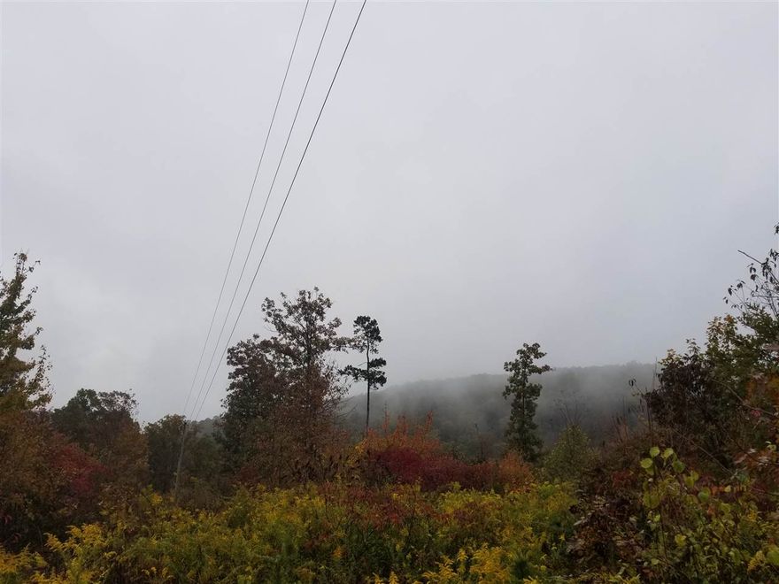 This property has a creek running through it. It has easy access to this property!   Has access right off of Akins Rd. Great Hunting land! Secluded! Private!  This land is a hunters paradise!  It's loaded with wildlife!  Deer Hunters Special!  OWNER Financing Available!