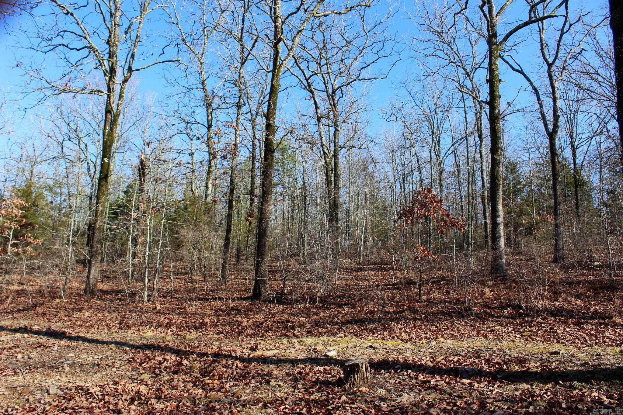 PLEASANT LIVING S/D (BIG MOUNTAI - Residential