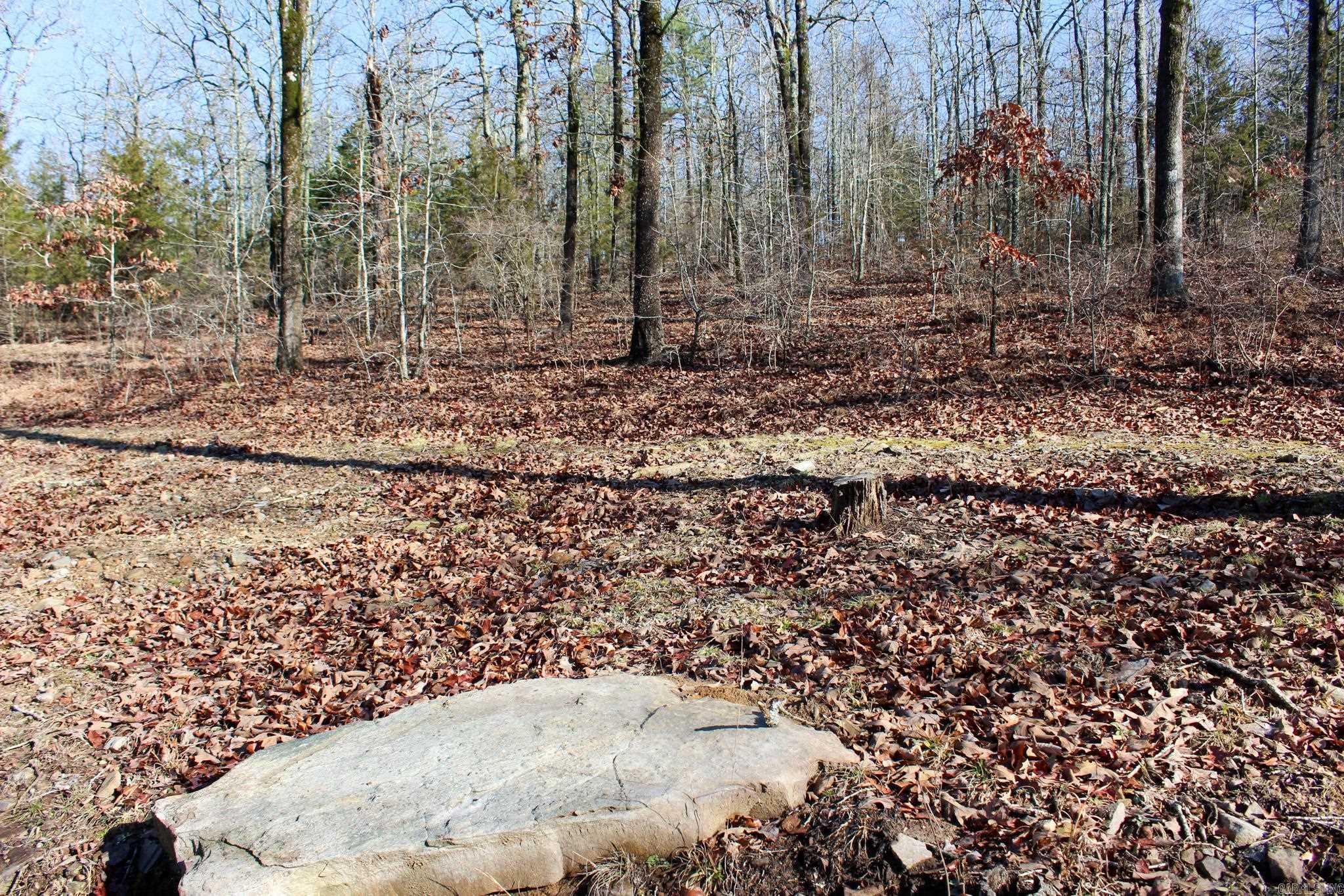 PLEASANT LIVING S/D (BIG MOUNTAI - Residential