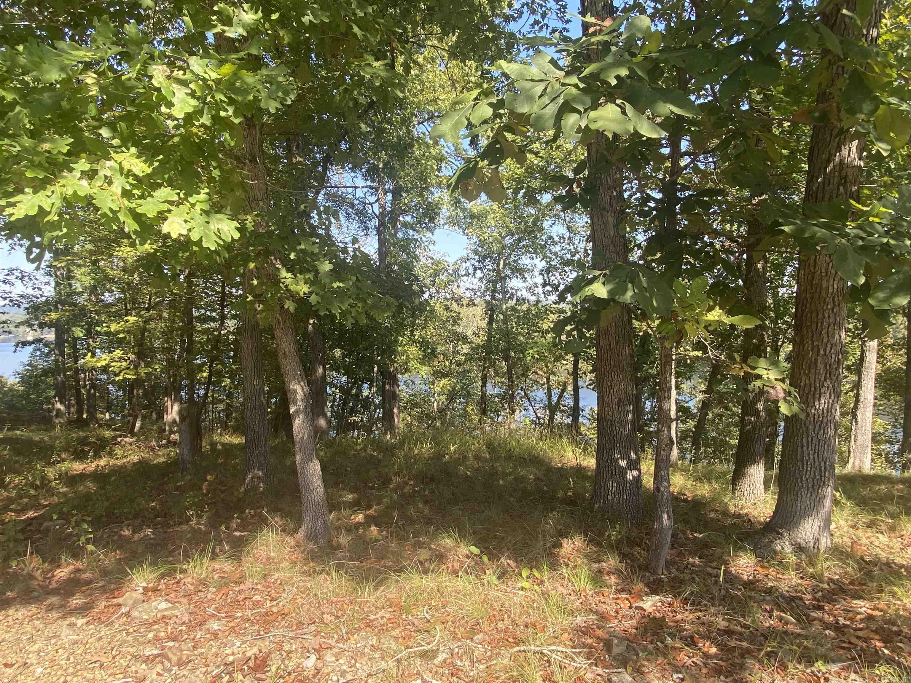 DIAMONDHEAD LAKE - Land