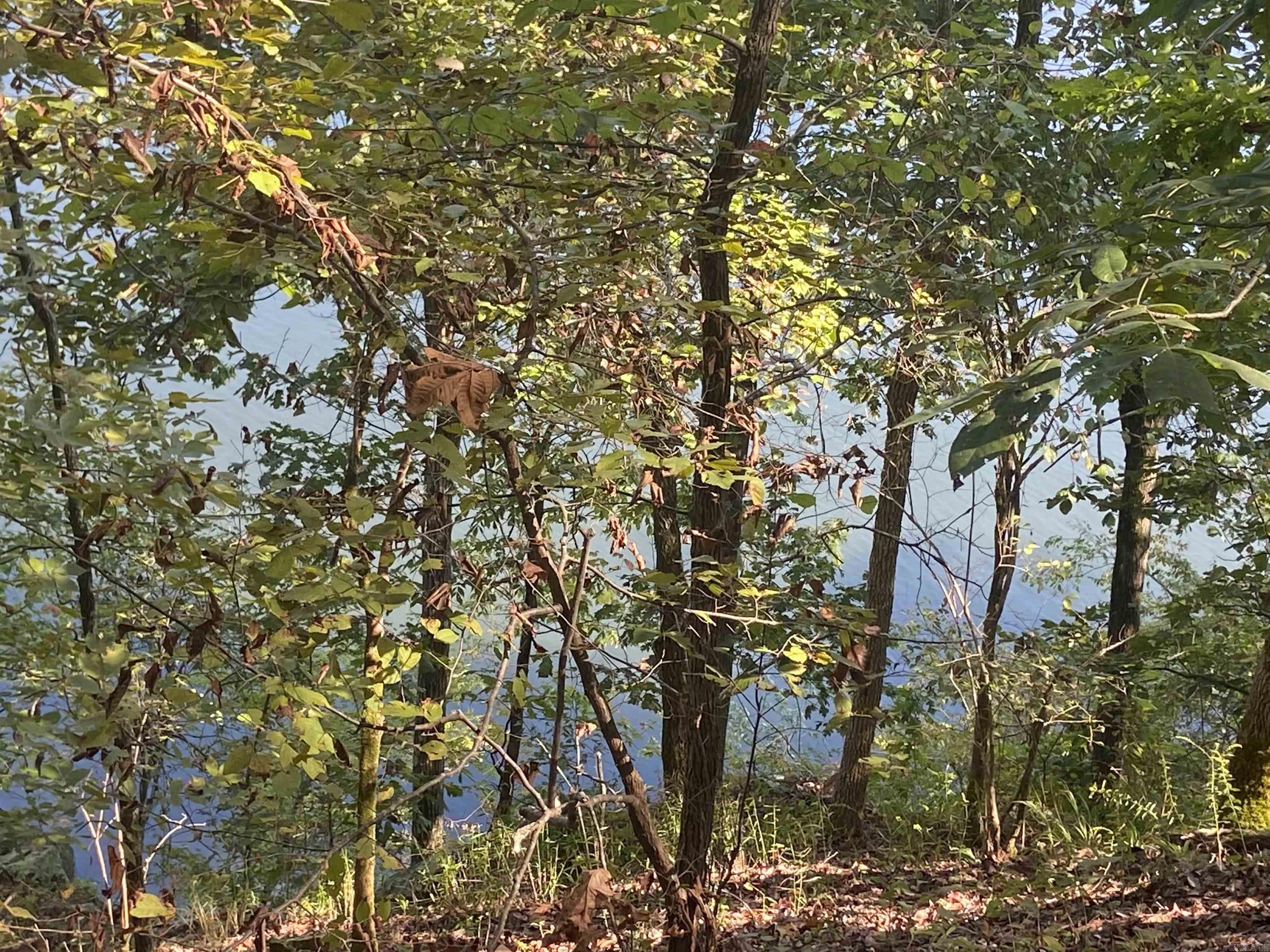 DIAMONDHEAD LAKE - Land