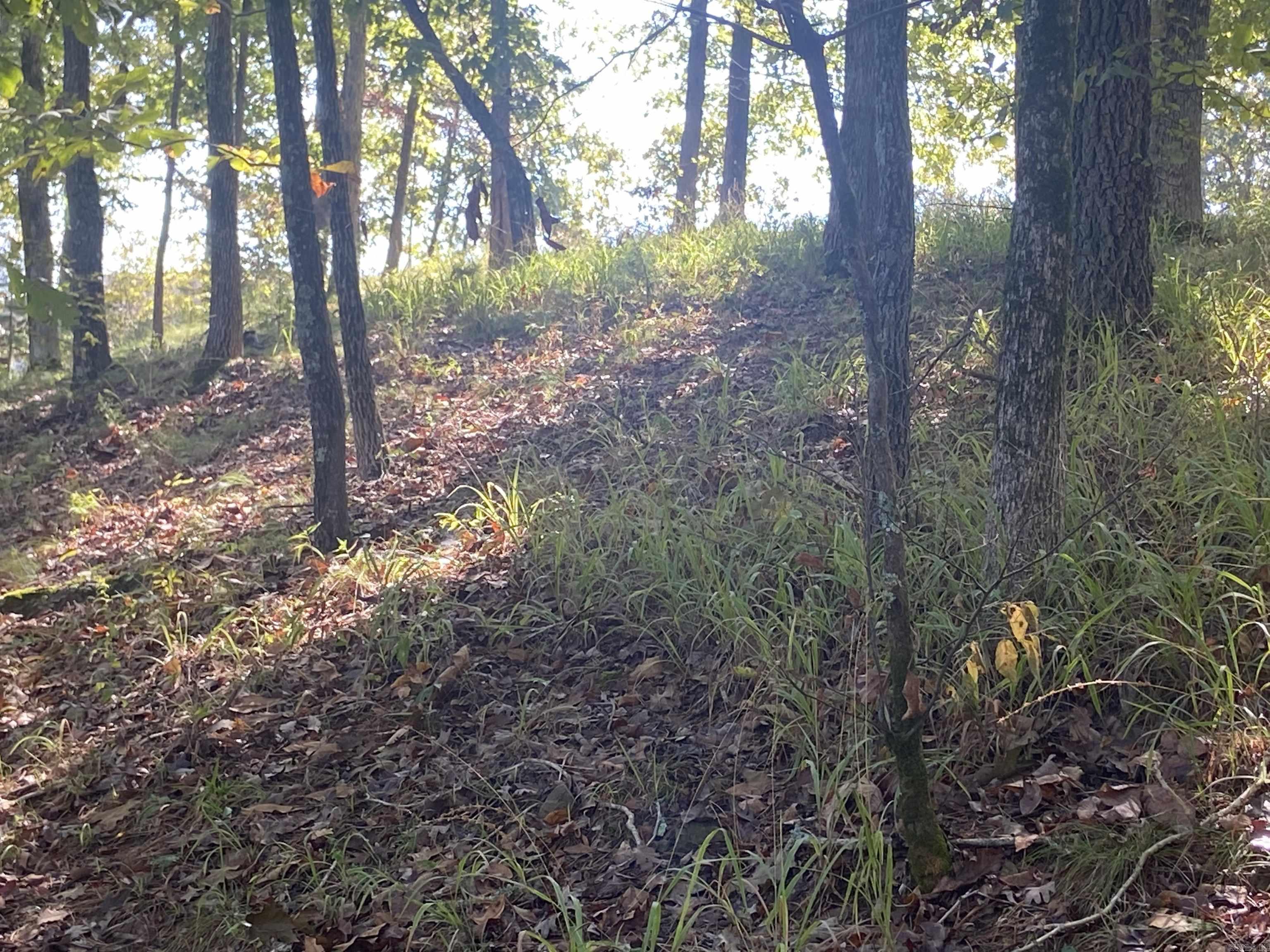 DIAMONDHEAD LAKE - Land