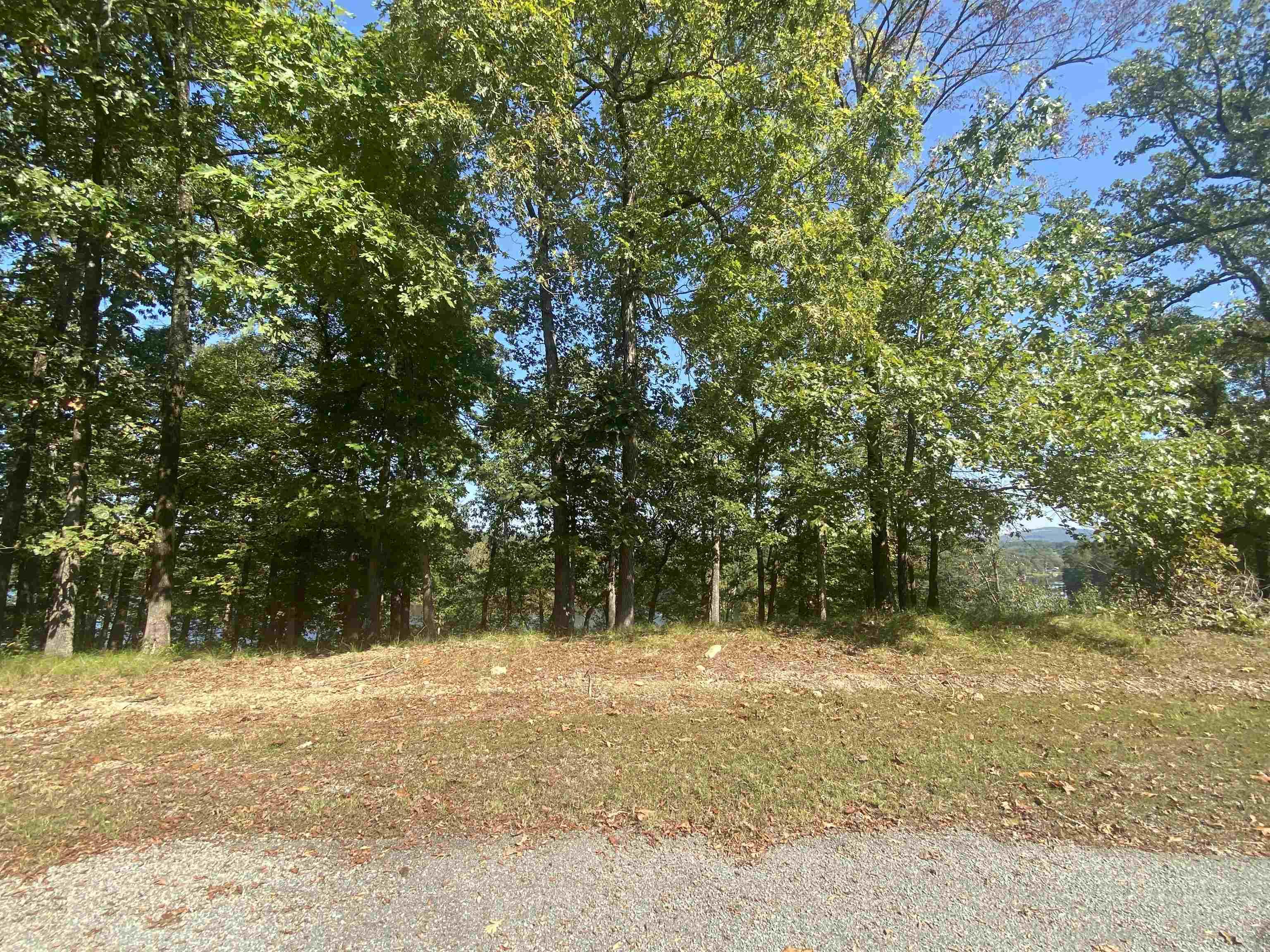 DIAMONDHEAD LAKE - Land