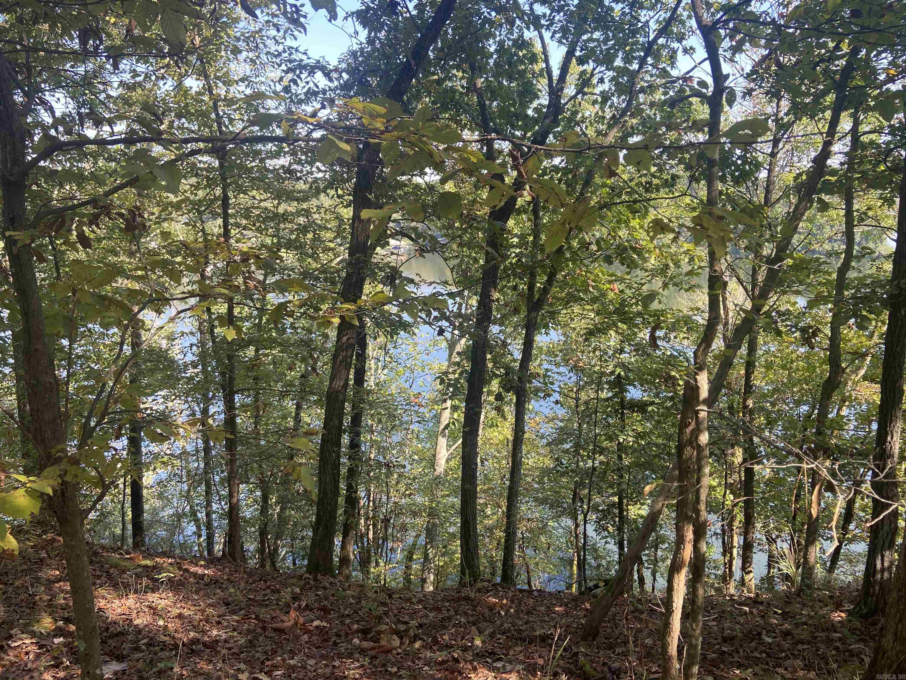 DIAMONDHEAD LAKE - Land