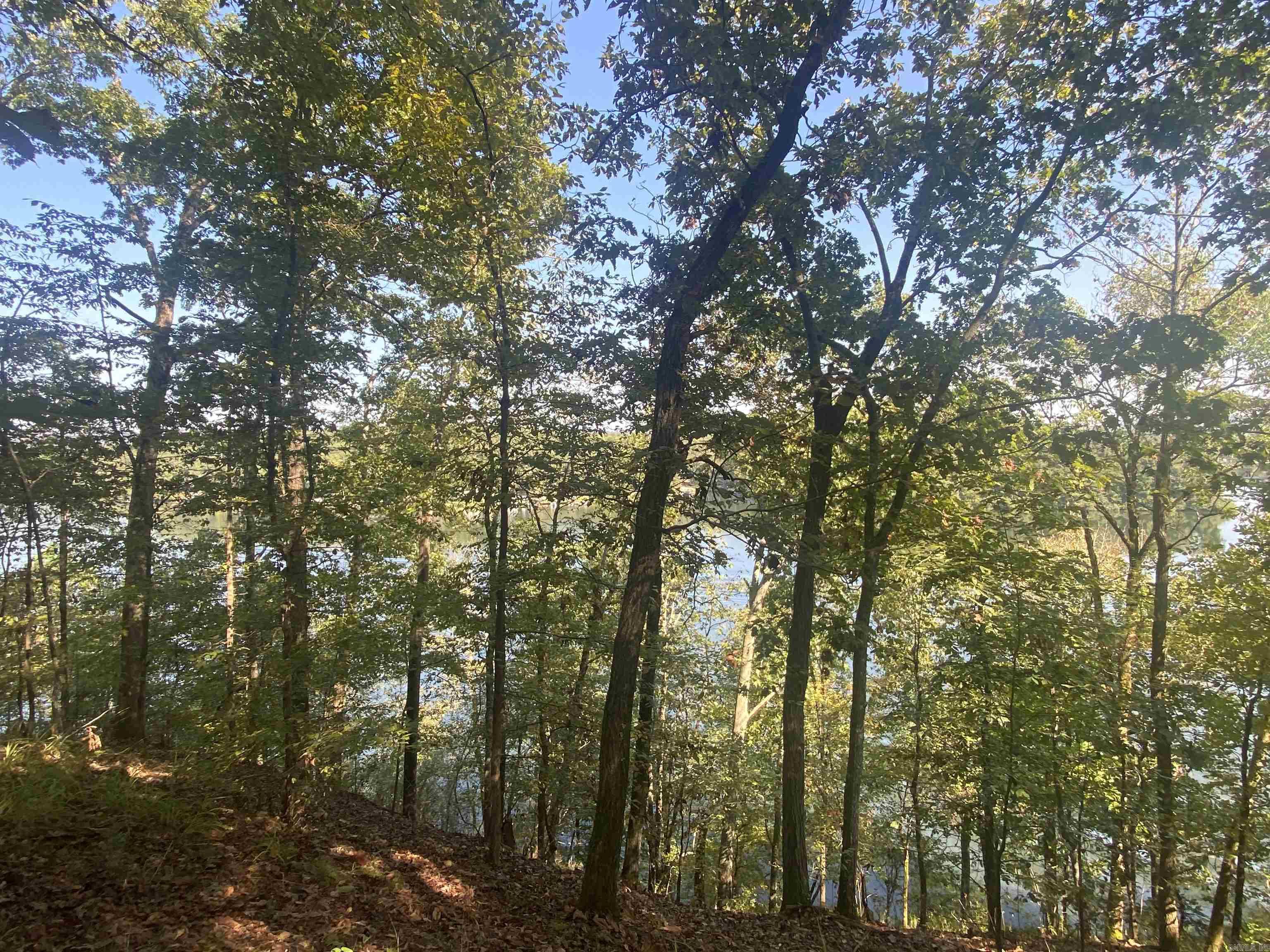 DIAMONDHEAD LAKE - Land