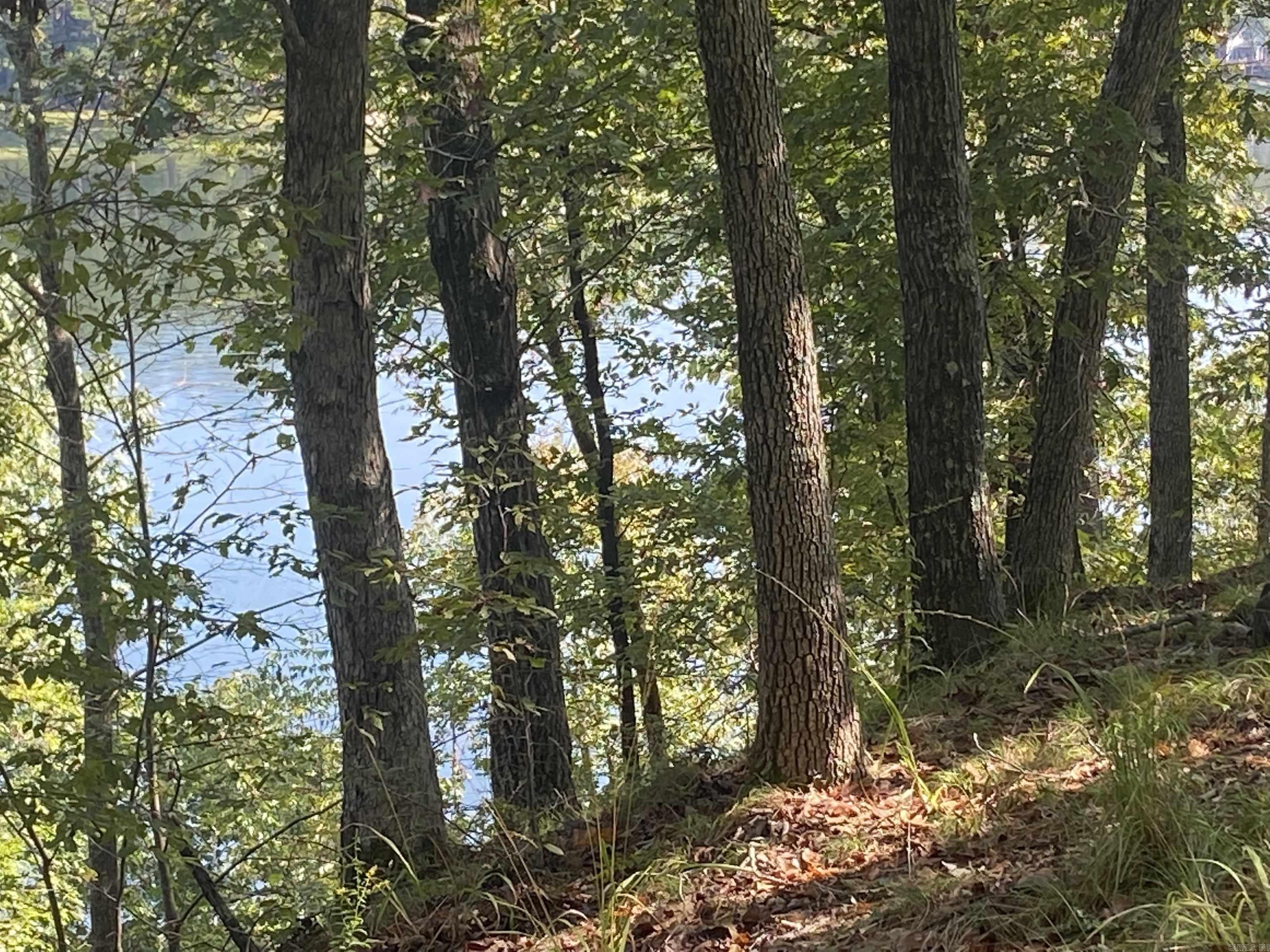 DIAMONDHEAD LAKE - Land