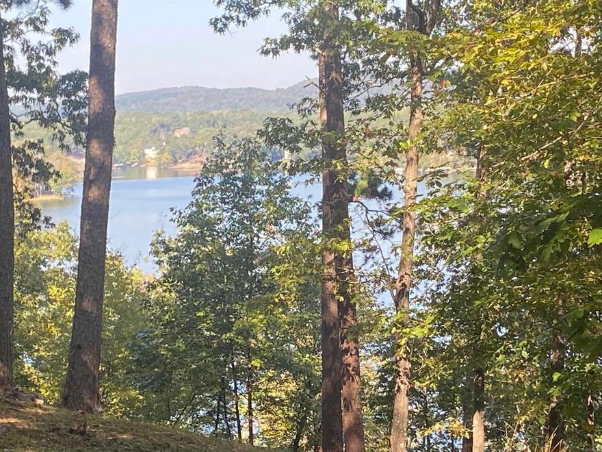 Lakefront lot with a beautiful view! Here's your chance to own this lot with over 100 ft of water frontage on the main channel of popular Lake Catherine.  Amenities galore are available with this lot in a private gated community.  Let's write your contract up today!