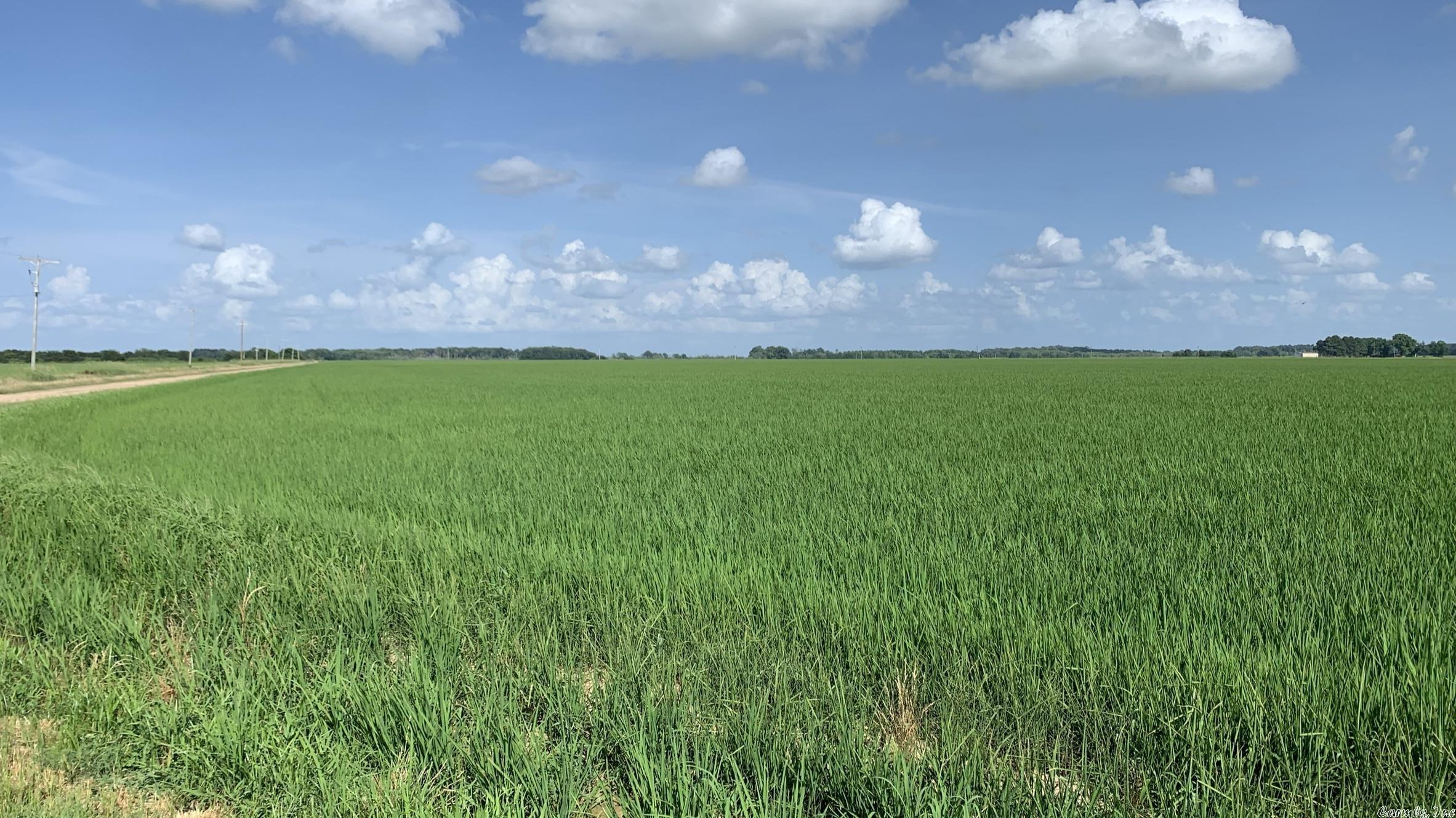 Rice/Soybean farm all irrigated. Two reservoirs.