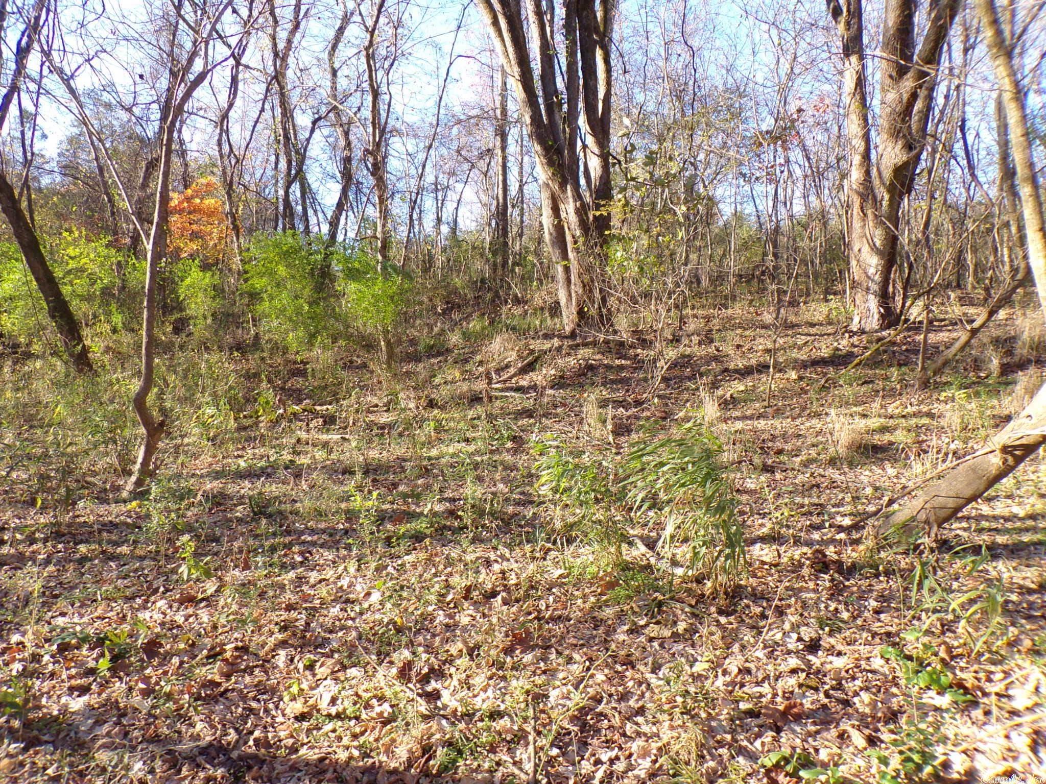 Not in Subdivision - Land