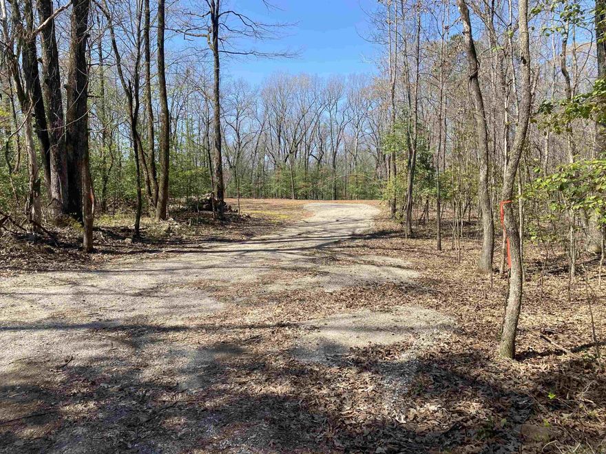 Located just minutes from Mountain Harbor Resort and Lake Ouachita! This 5.67 +/- wooded acres offer the perfect blend of seclusion, natural beauty and ready-to-build convenience. The property has already been prepared with a clearing for your home & garage, well has been drilled, septic permit is in place and underground electric is at the property line saving you time and expense as you plan your dream home, weekend getaway or cabin in the woods.  Surrounded by the forest and abundant wildlife, you will have the privacy you crave with easy access to boating, fishing, hiking and all the outdoor recreation this area is known for with the added convenience of being 13 miles from Mount Ida or 20 miles to Hot Springs.  If you have been searching for quiet acreage with natural beauty but close to all the outdoor activities this is the one that you don't want to miss seeing.