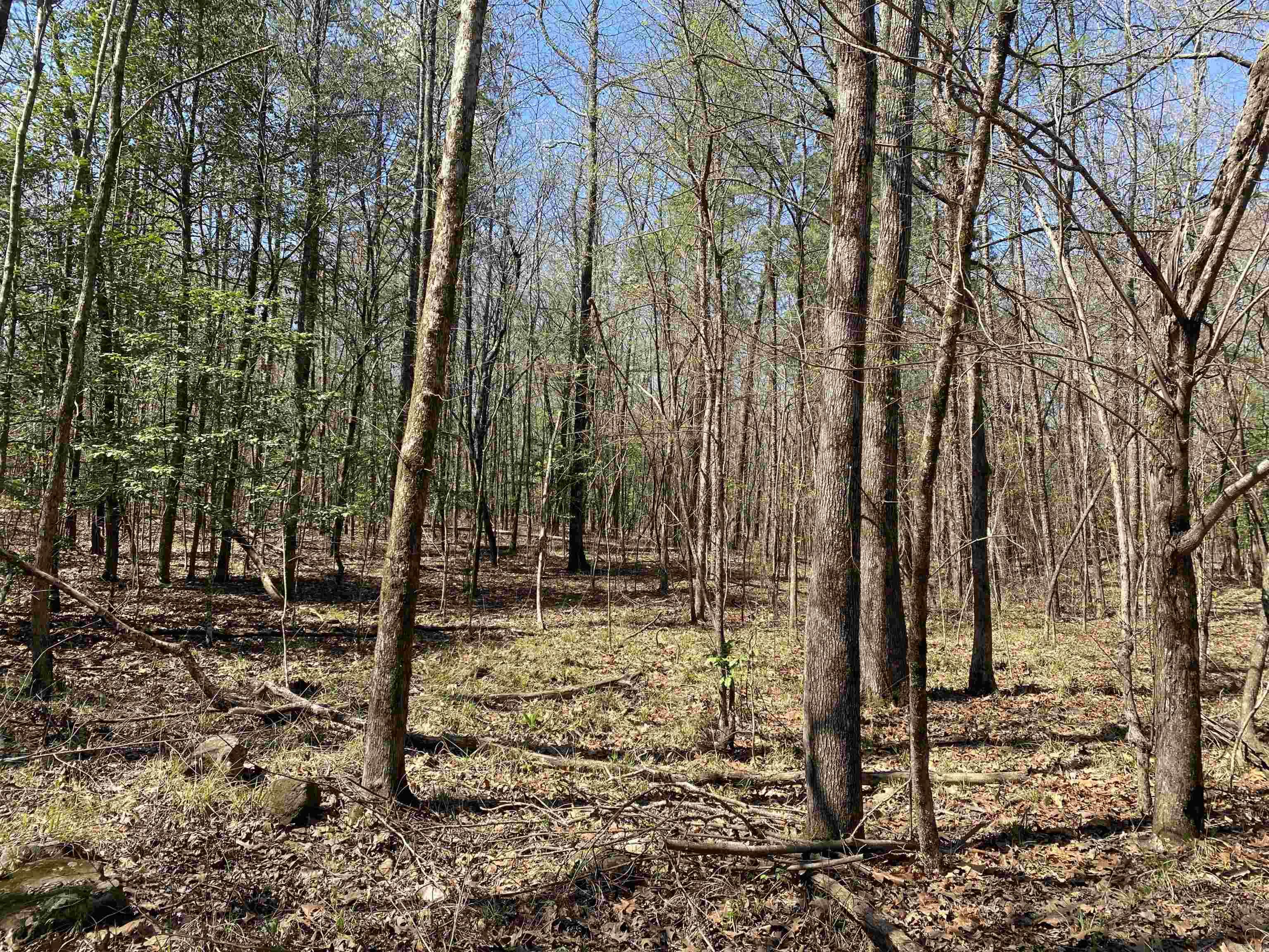 Metes & Bounds - Land